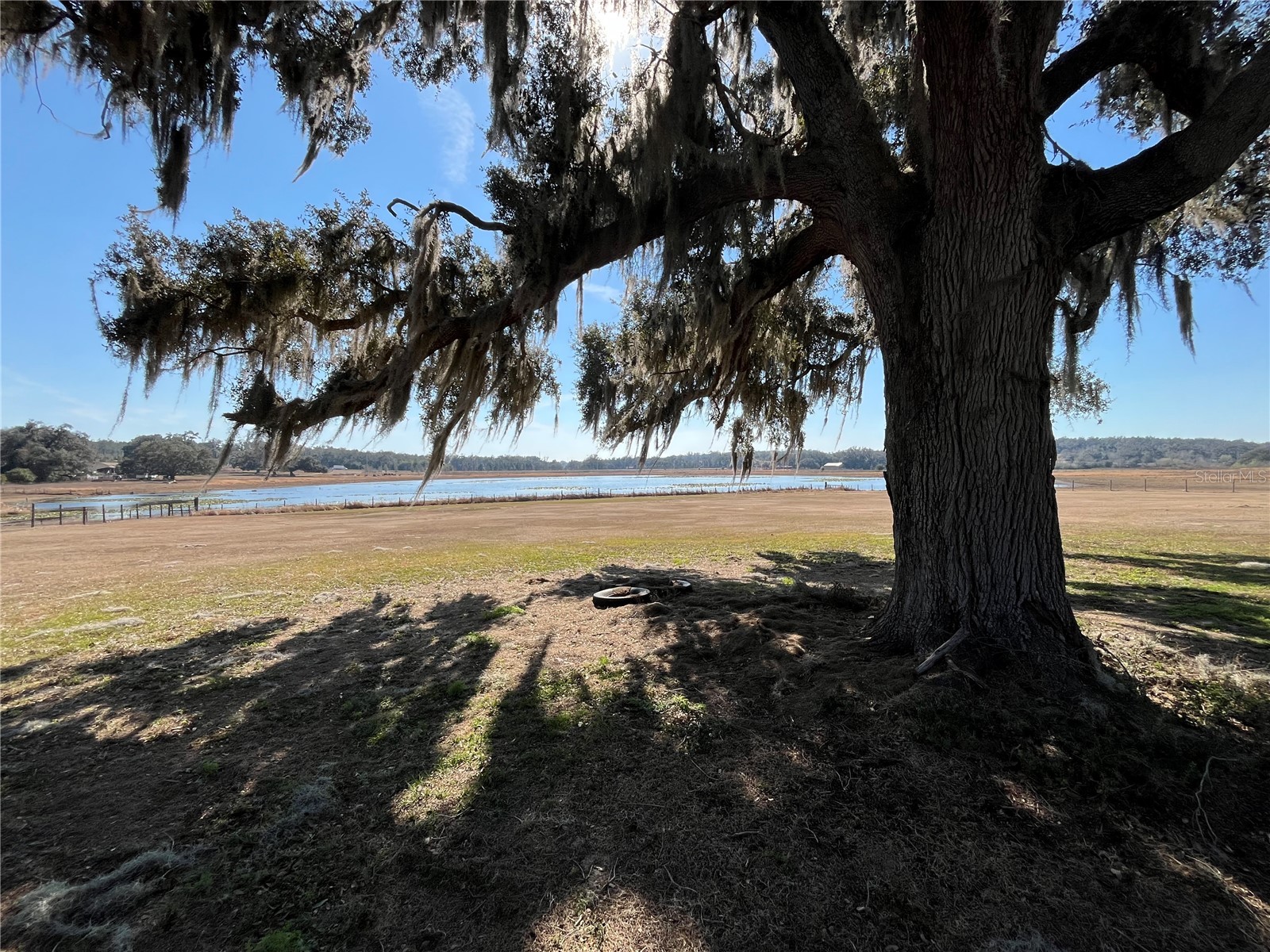 35400 Lake Ray Drive Dade City FL 33525 TB8472371 image4