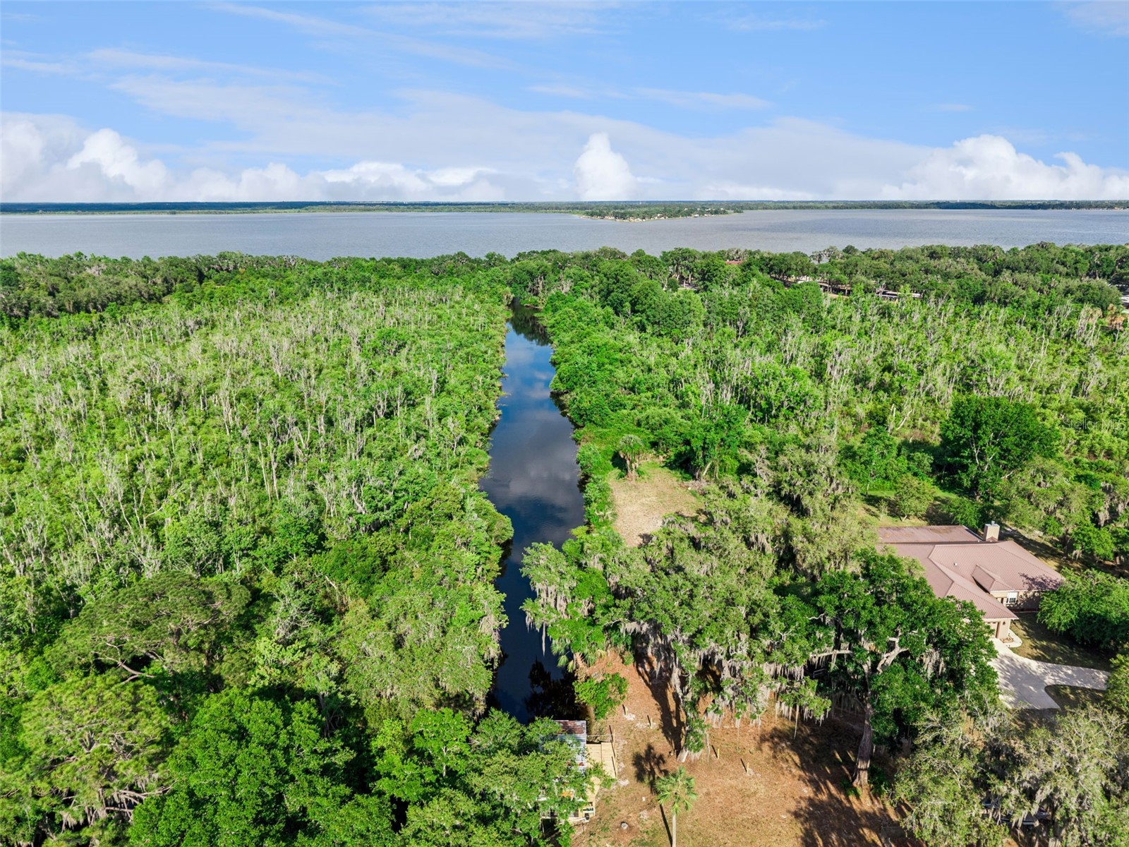 35401 Willow Circle Fruitland Park FL 34731 O6403195 image12