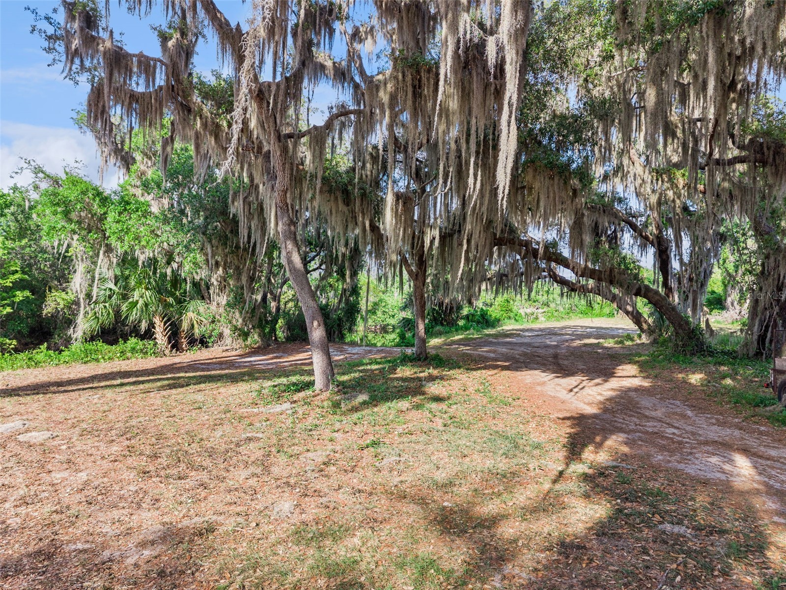 35401 Willow Circle Fruitland Park FL 34731 O6403195 image15