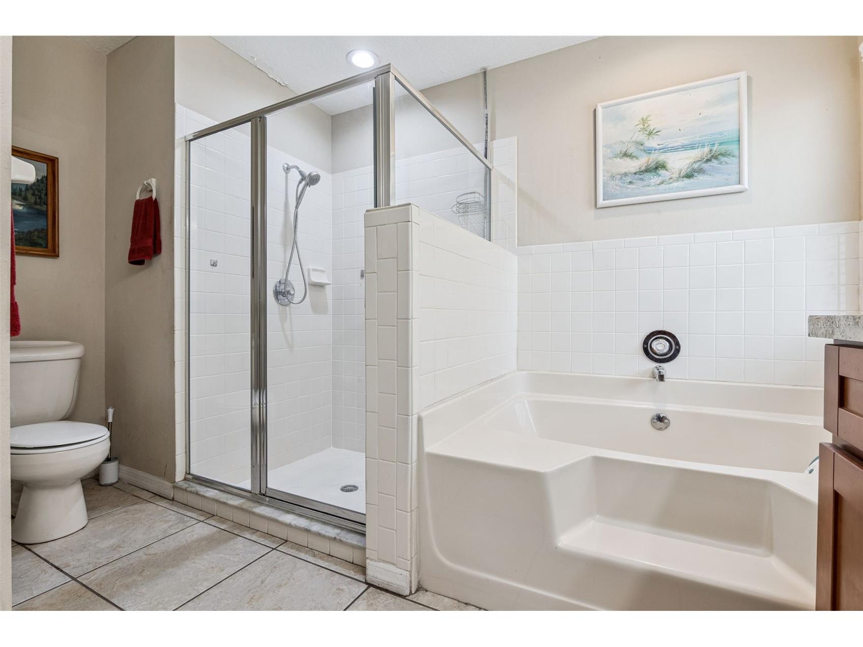 35401 Willow Circle Fruitland Park FL 34731 O6403195 image30