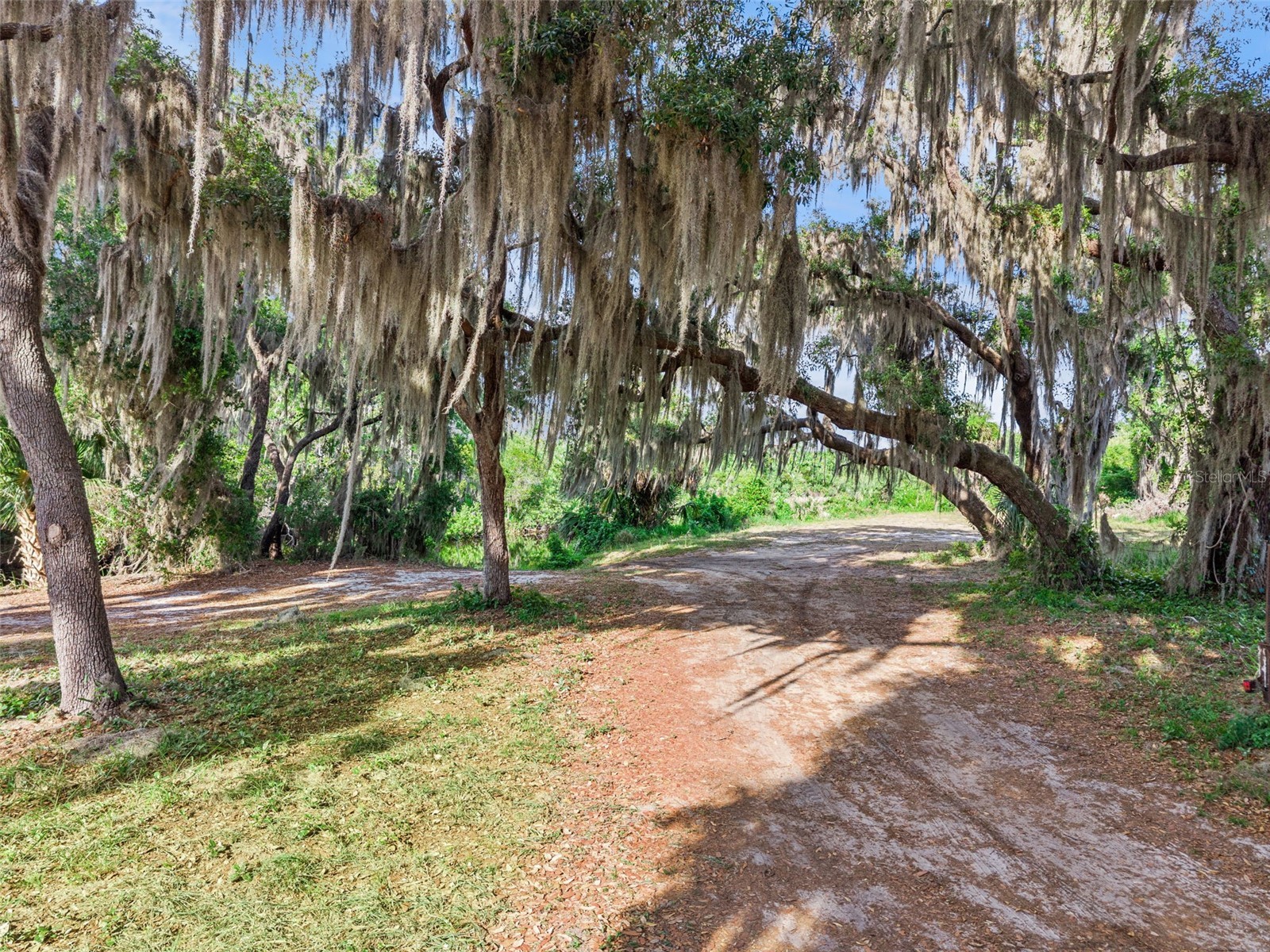 35401 Willow Circle Fruitland Park FL 34731 O6403195 image43
