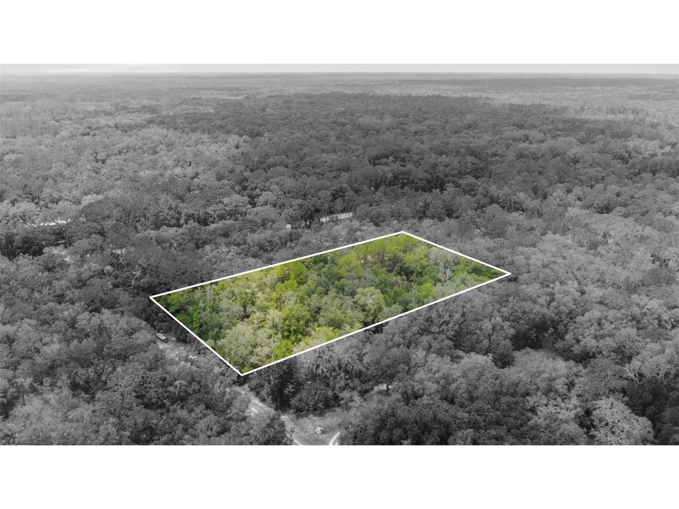 35403 Kola Drive Webster FL 33597 U8209058 image1