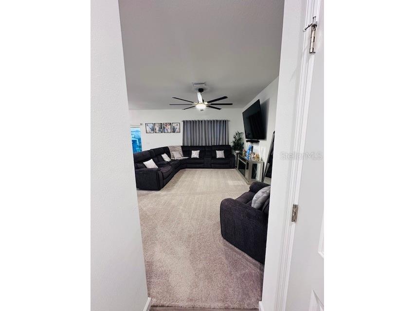 35405 Eastbrook Avenue Zephyrhills FL 33541 TB8448935 image11