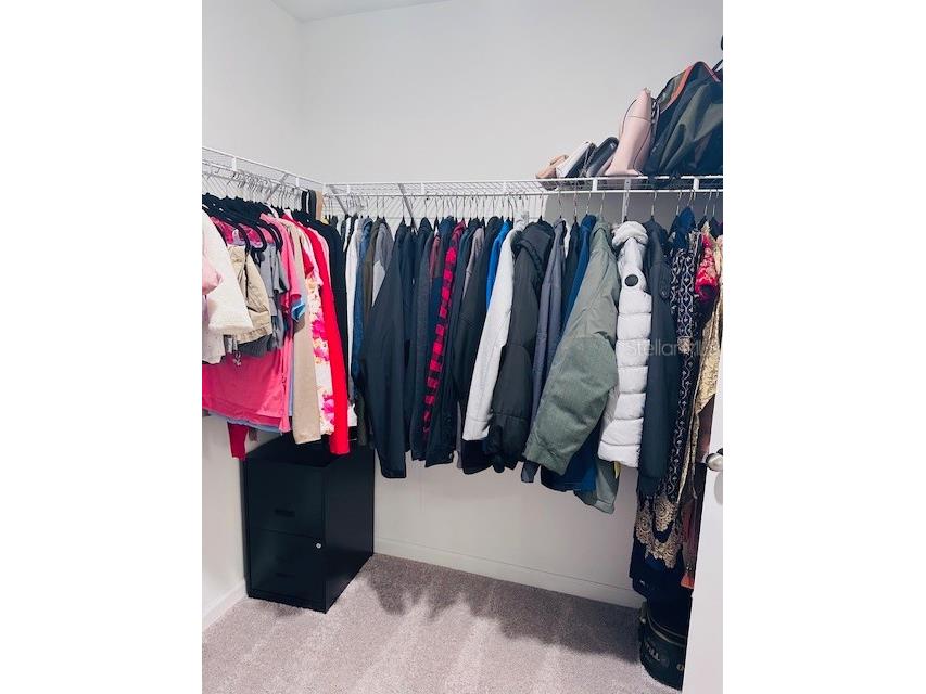 35405 Eastbrook Avenue Zephyrhills FL 33541 TB8448935 image16