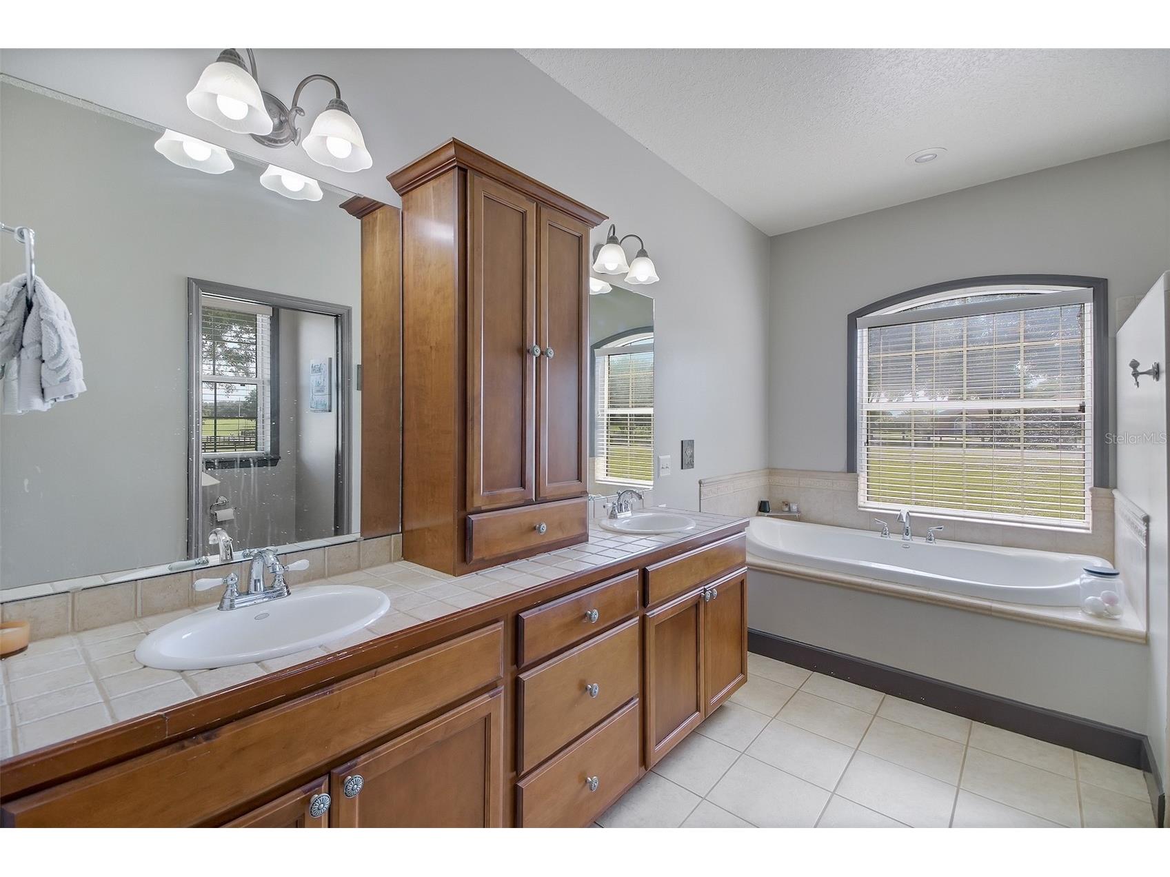 35405 Stagecoach Trail Eustis FL 32736 O6422884 image42
