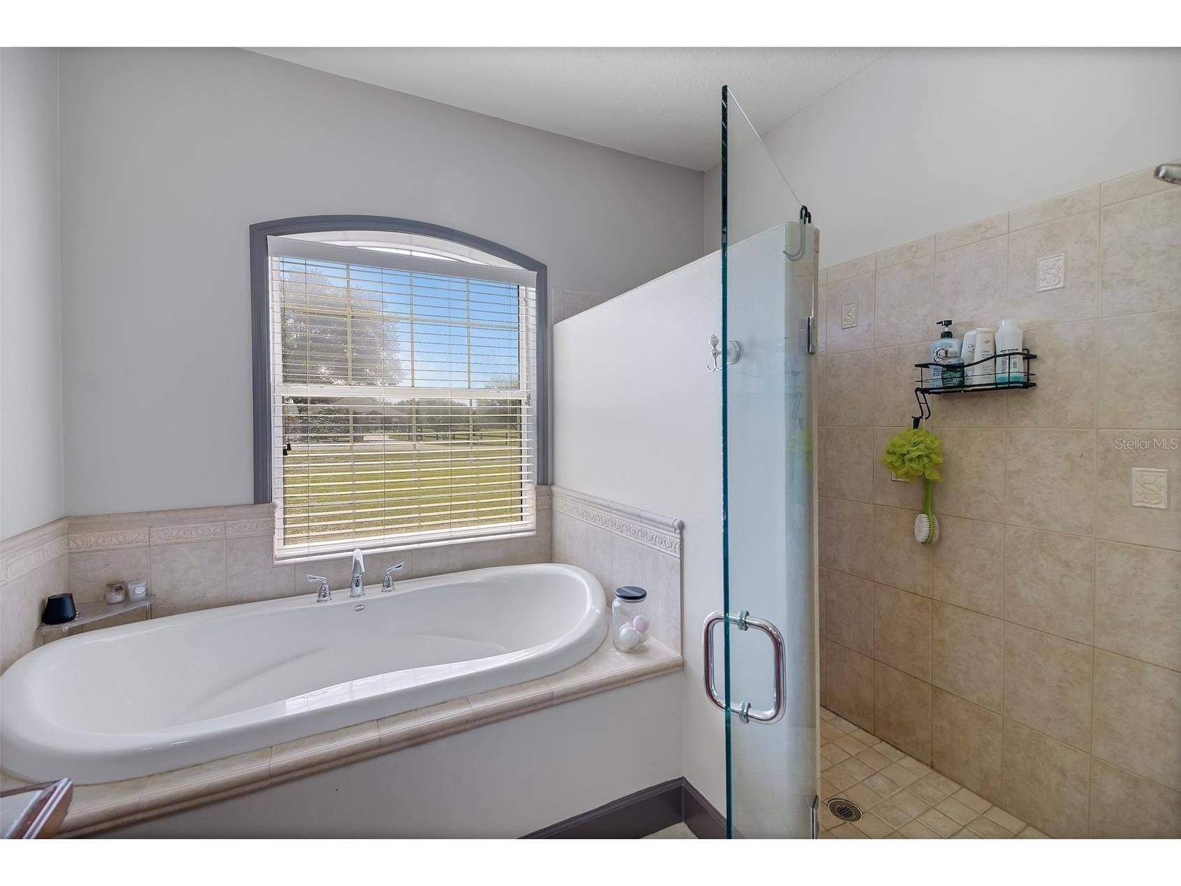35405 Stagecoach Trail Eustis FL 32736 O6422884 image43