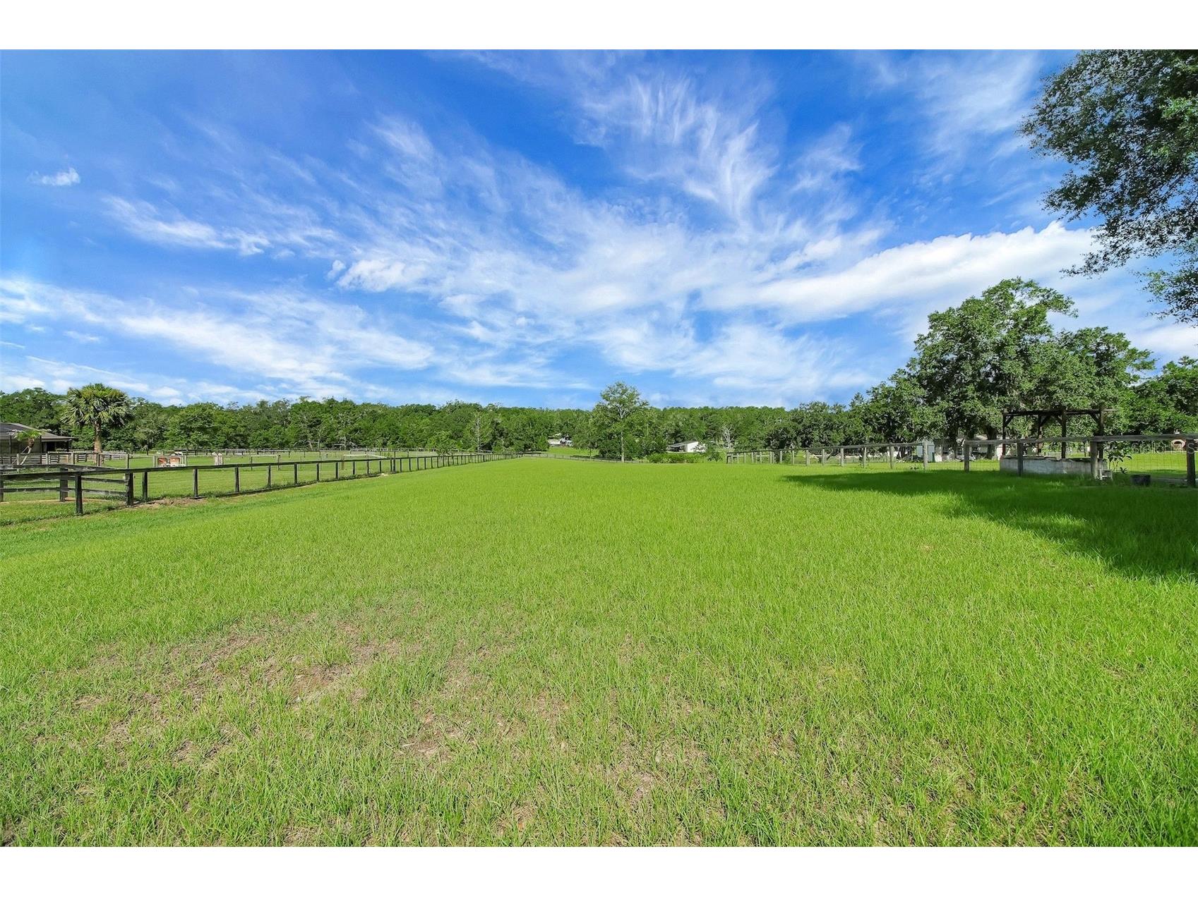 35405 Stagecoach Trail Eustis FL 32736 O6422884 image8