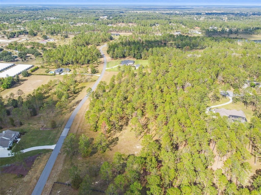 35408 Pinegate Trail Eustis FL 32736 O6172432 image1