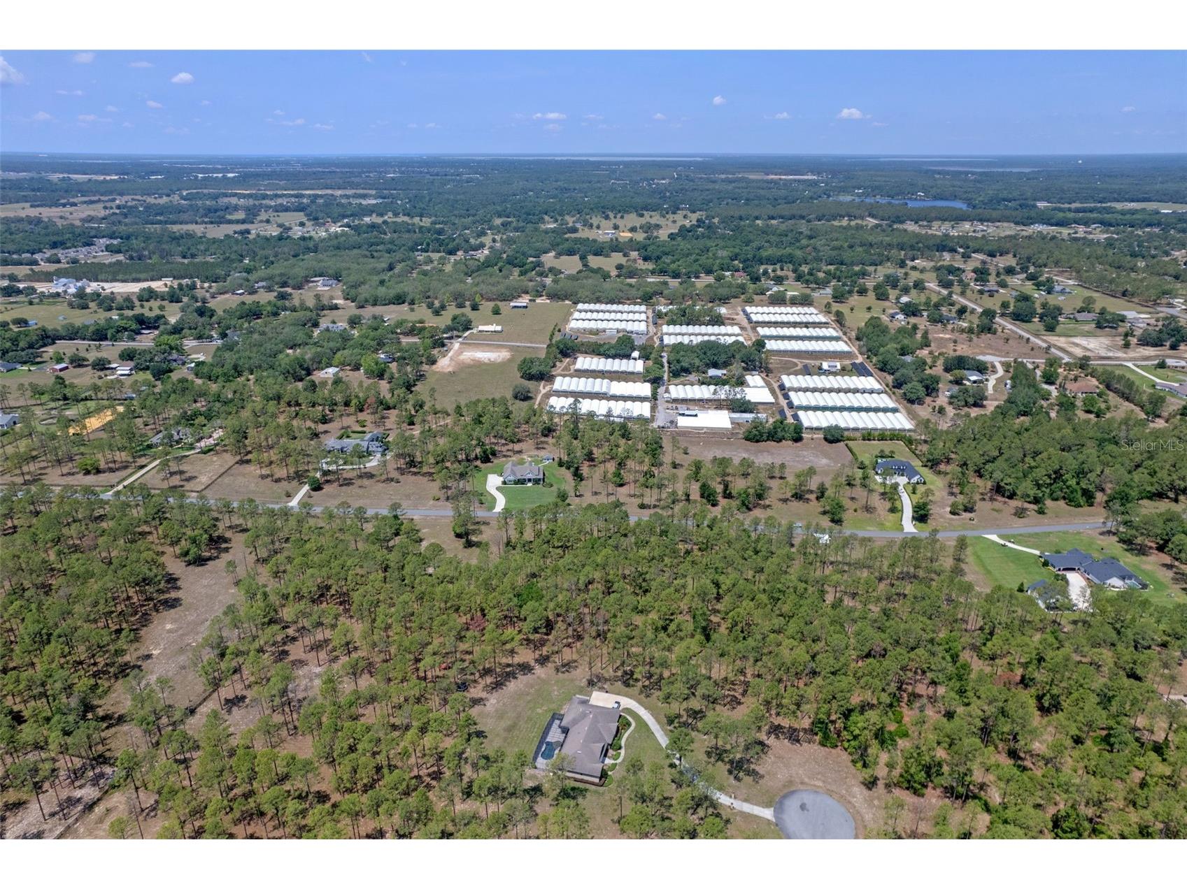35408 Pinegate Trail Eustis FL 32736 O6389103 image10