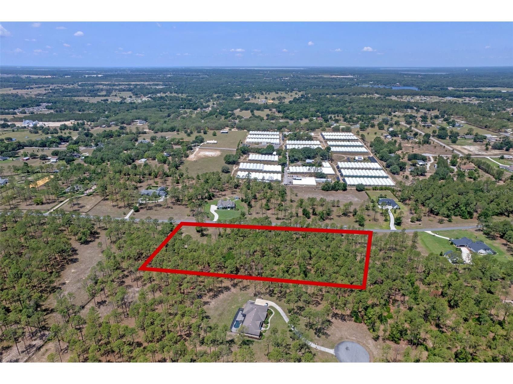 35408 Pinegate Trail Eustis FL 32736 O6389103 image11