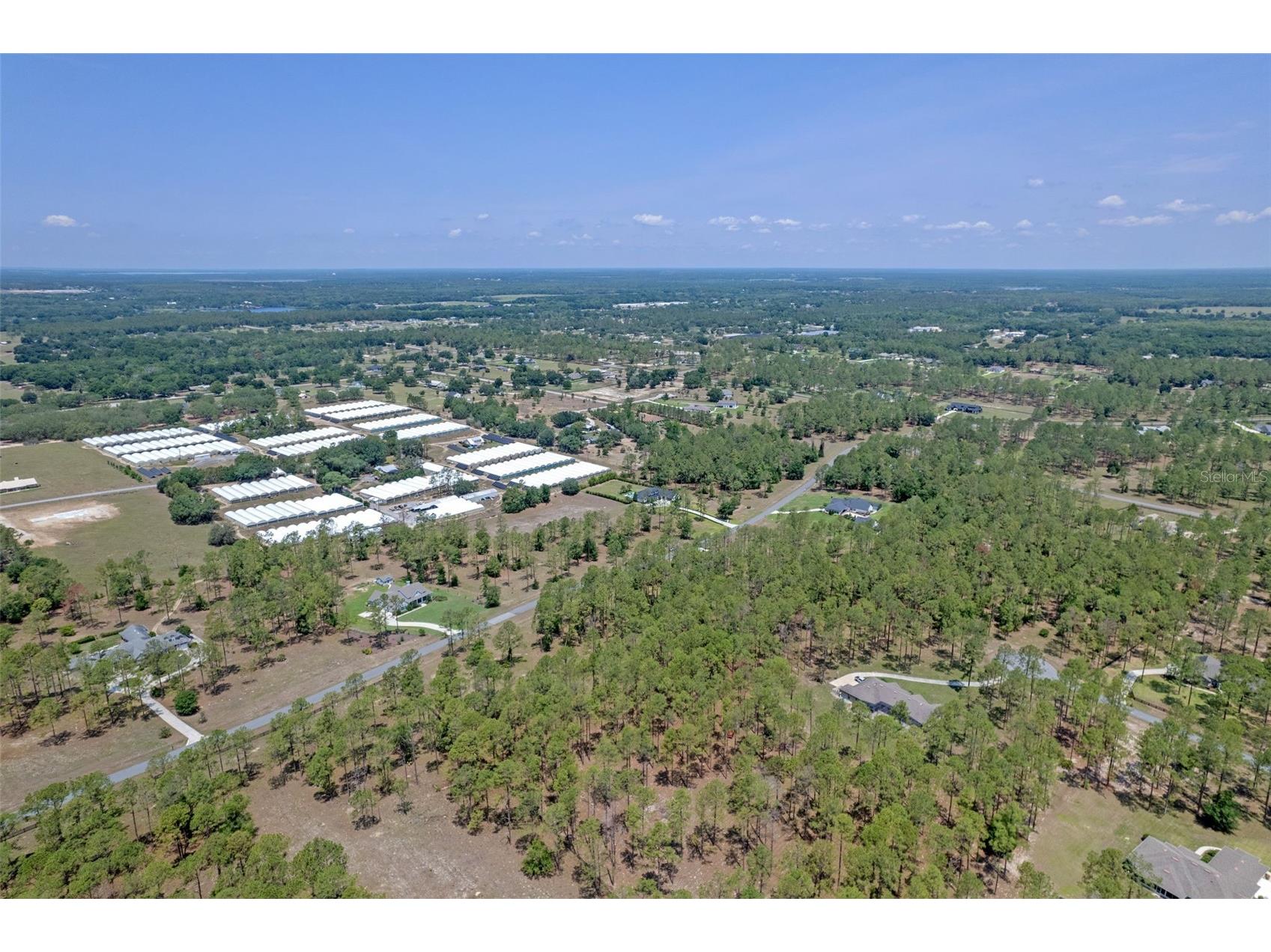 35408 Pinegate Trail Eustis FL 32736 O6389103 image12