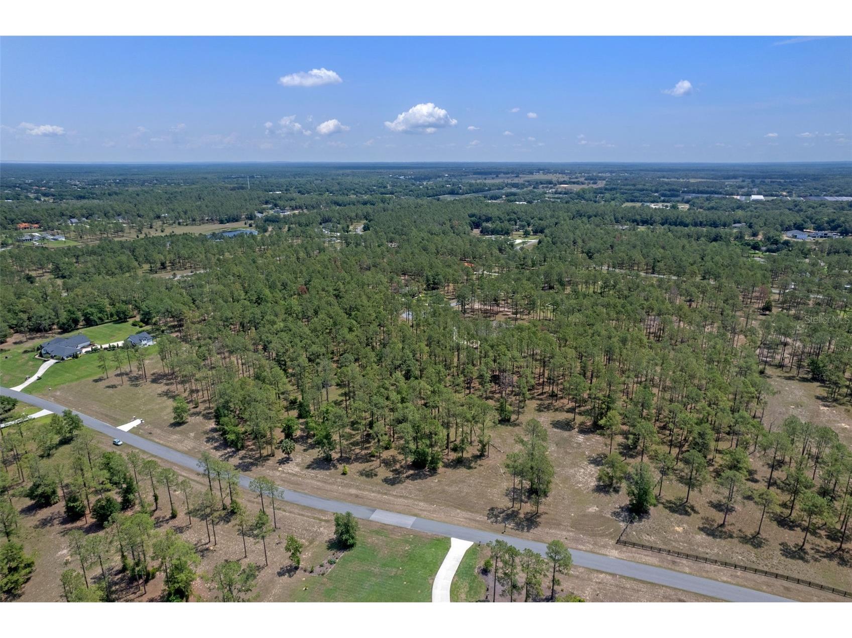 35408 Pinegate Trail Eustis FL 32736 O6389103 image13