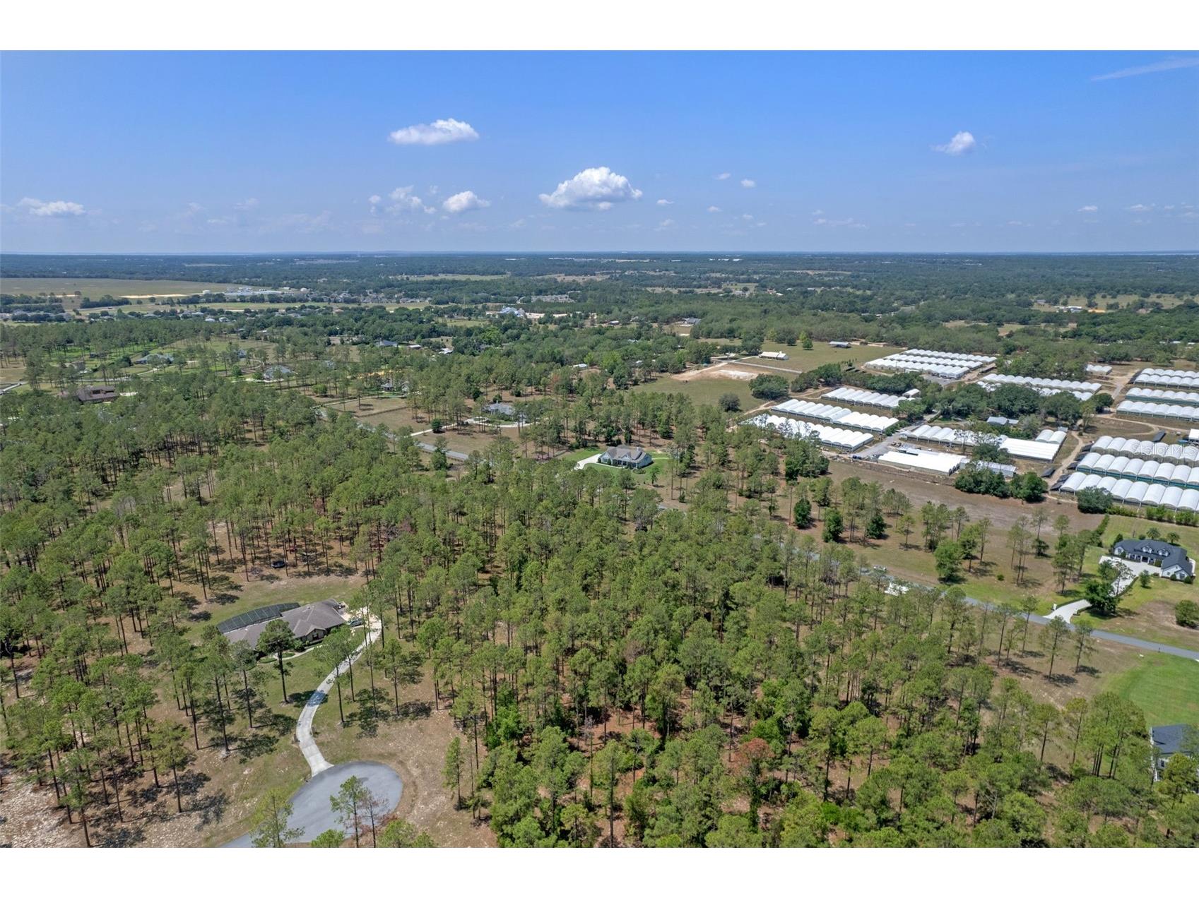35408 Pinegate Trail Eustis FL 32736 O6389103 image14