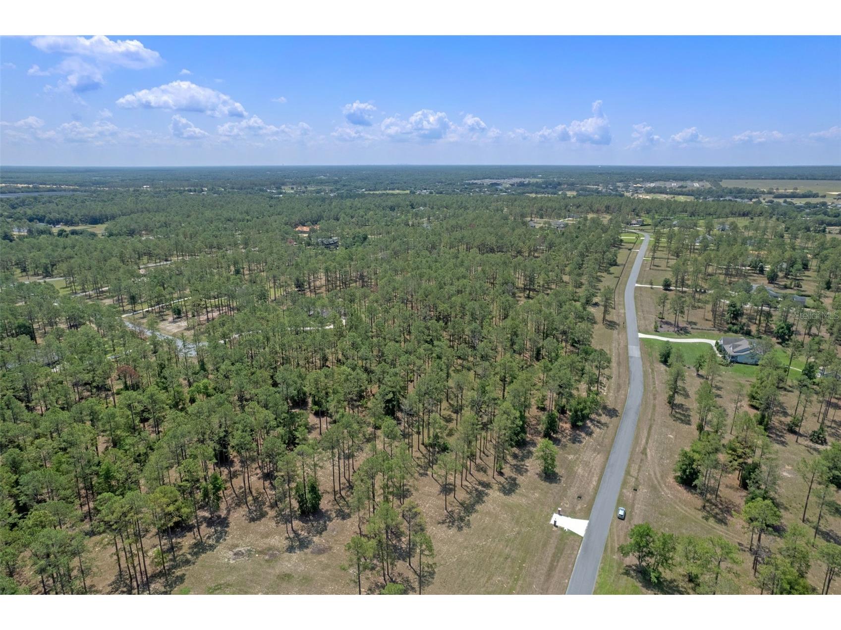 35408 Pinegate Trail Eustis FL 32736 O6389103 image15