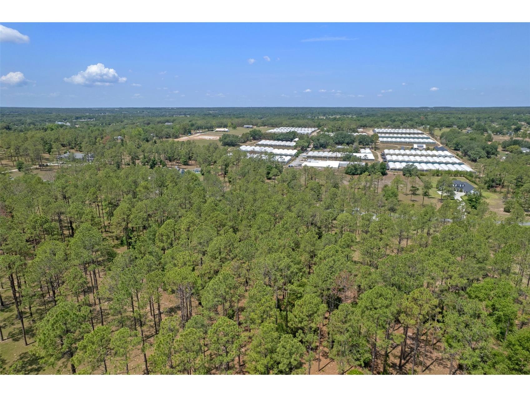 35408 Pinegate Trail Eustis FL 32736 O6389103 image16