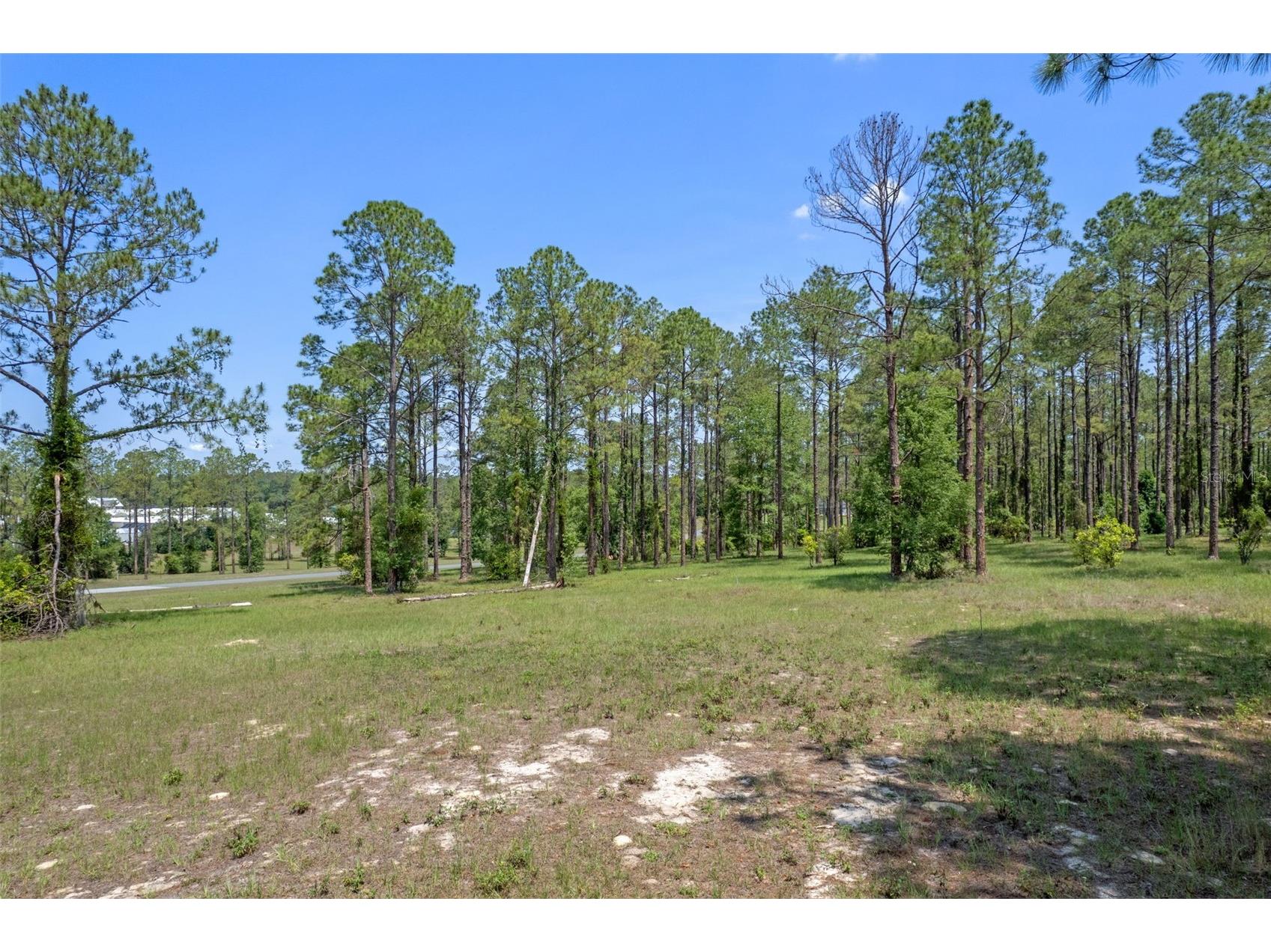 35408 Pinegate Trail Eustis FL 32736 O6389103 image2