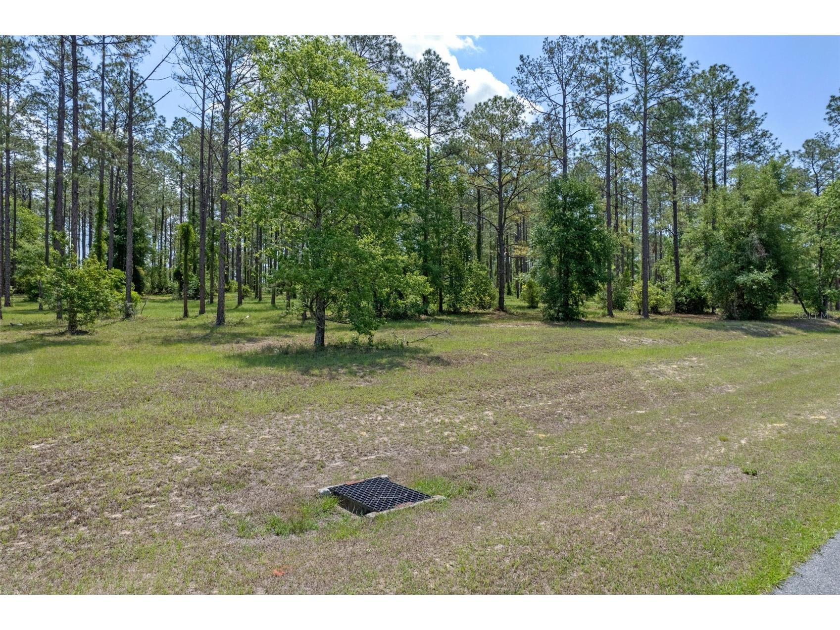 35408 Pinegate Trail Eustis FL 32736 O6389103 image3