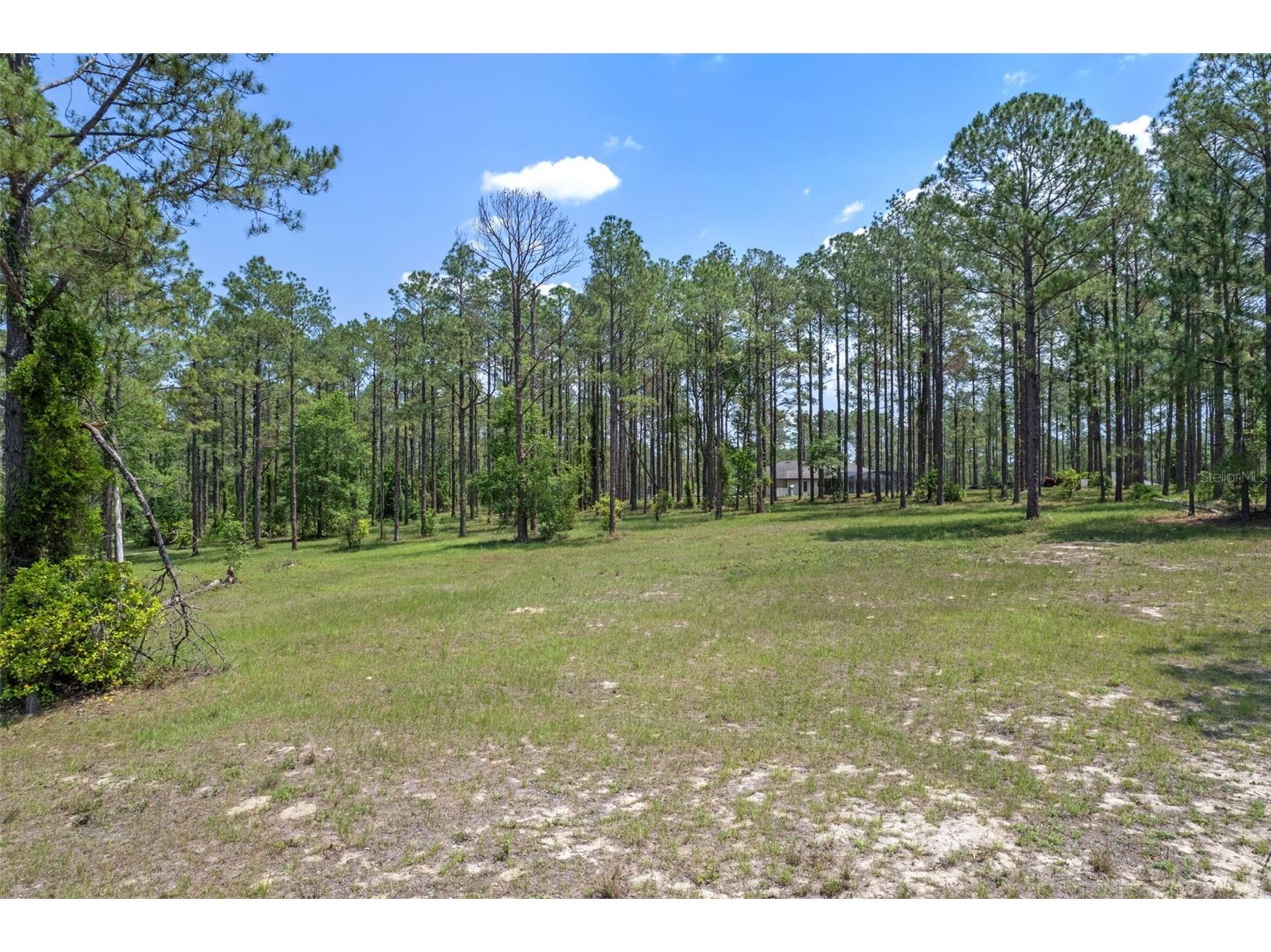 35408 Pinegate Trail Eustis FL 32736 O6389103 image5
