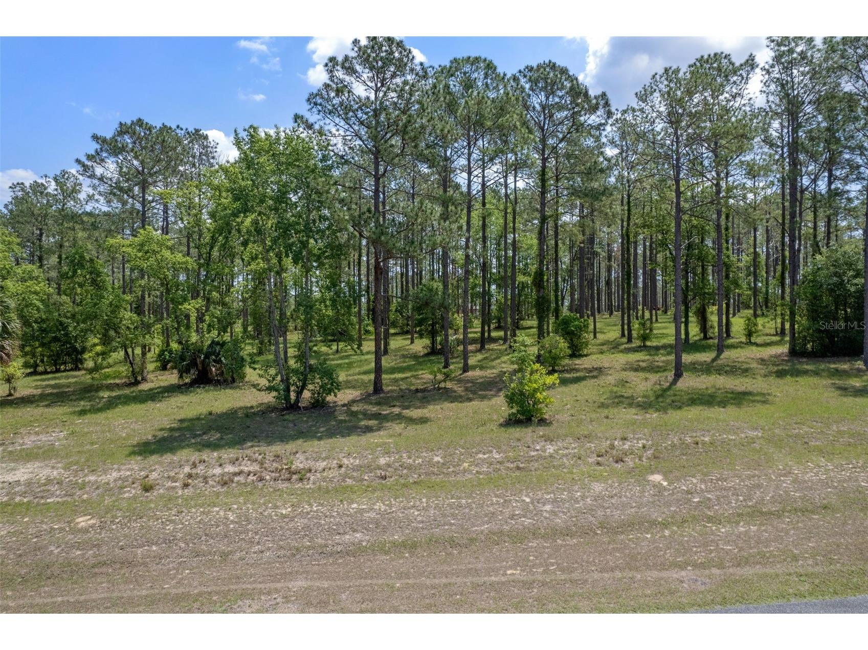 35408 Pinegate Trail Eustis FL 32736 O6389103 image7