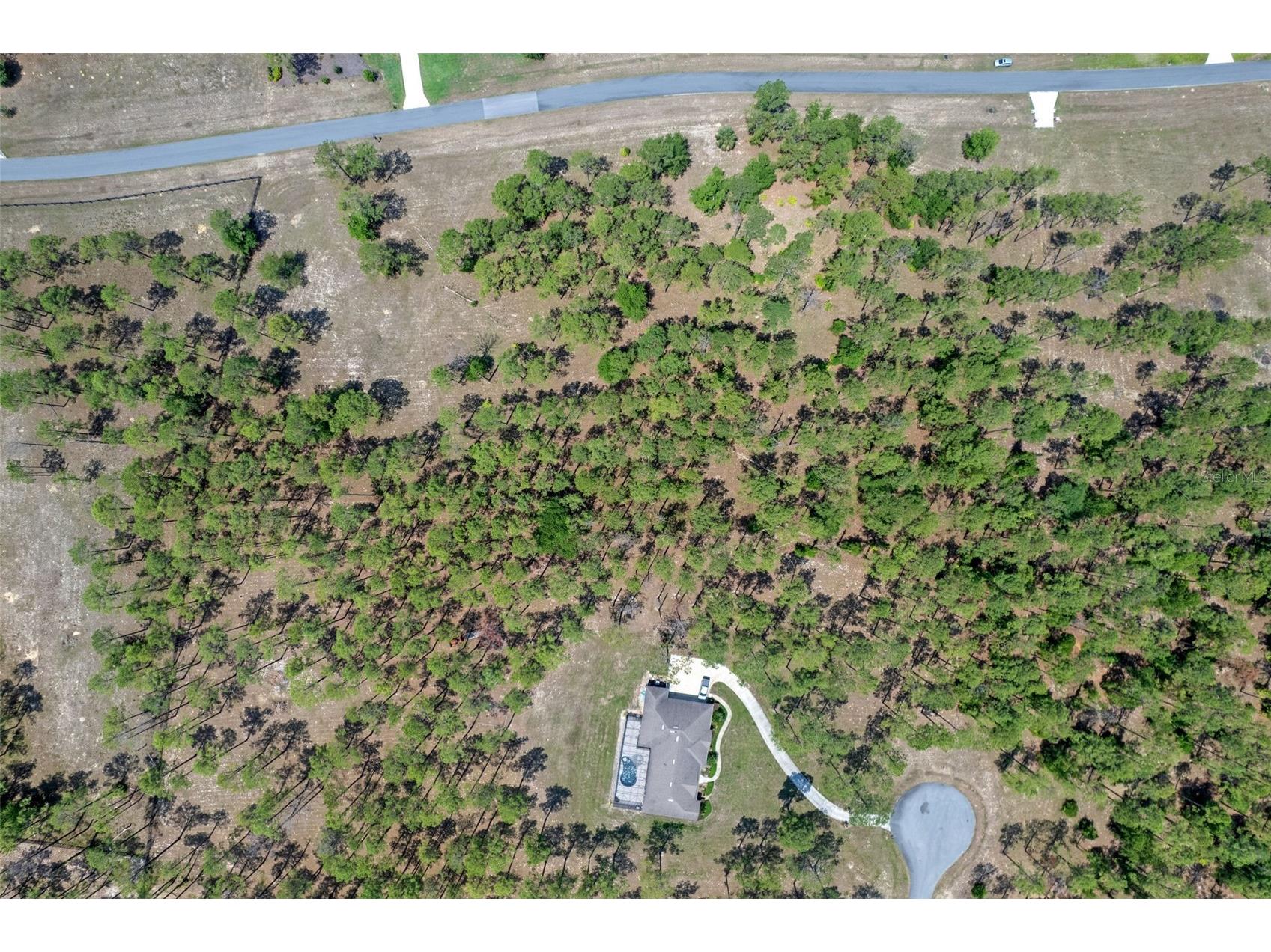 35408 Pinegate Trail Eustis FL 32736 O6389103 image8