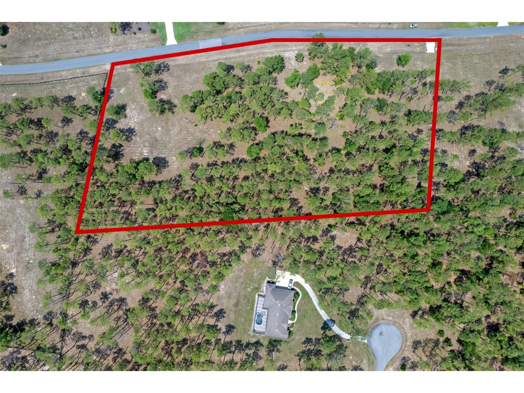 35408 Pinegate Trail Eustis FL 32736 O6389103 image9