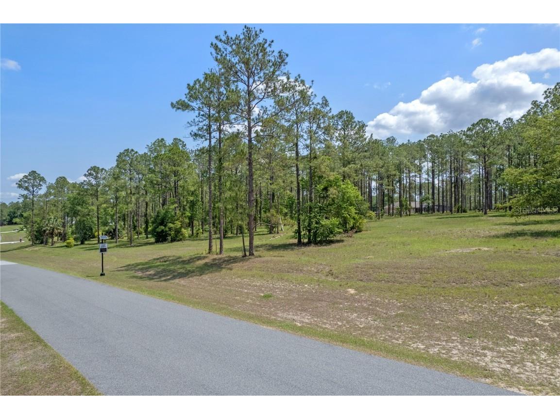 35408 Pinegate Trail Eustis FL 32736 OM701333 image1