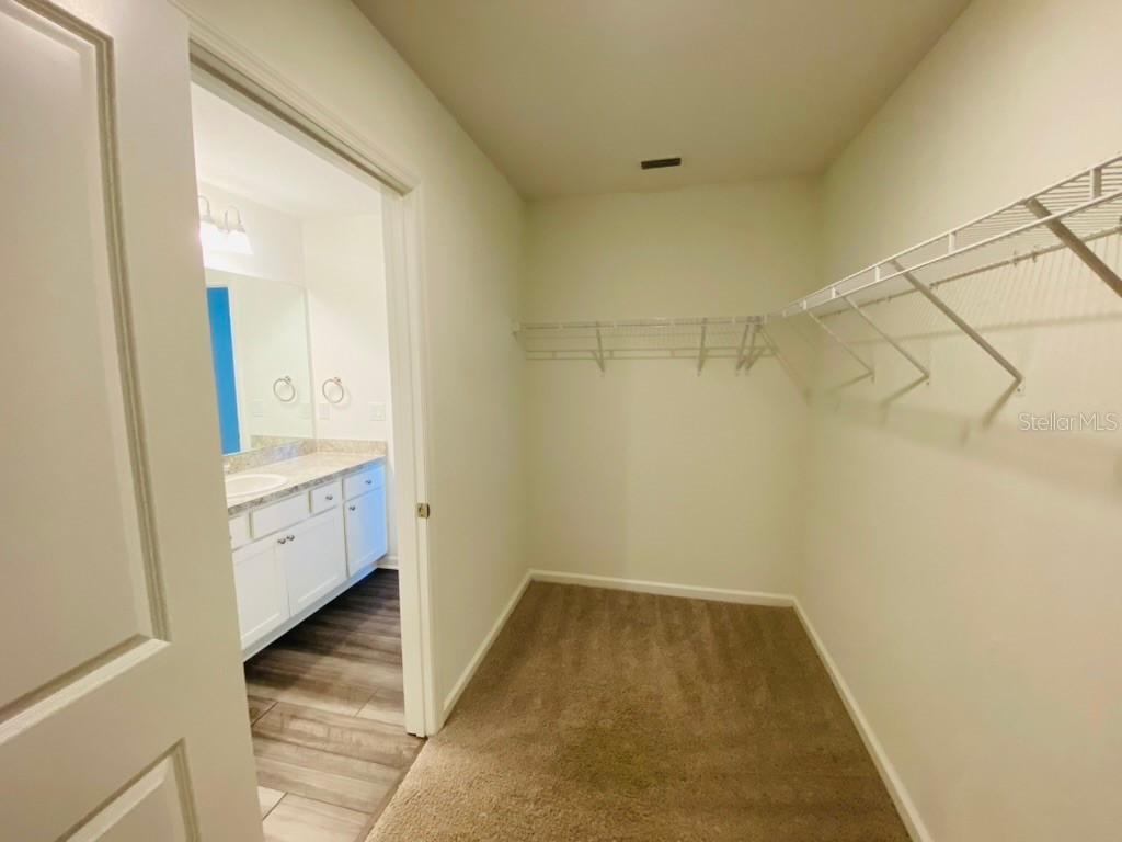 35409 White Water Lily Way Zephyrhills FL 33541 TB8468299 image13