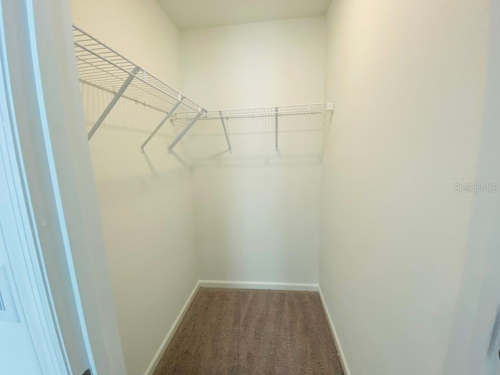 35409 White Water Lily Way Zephyrhills FL 33541 TB8468299 image15