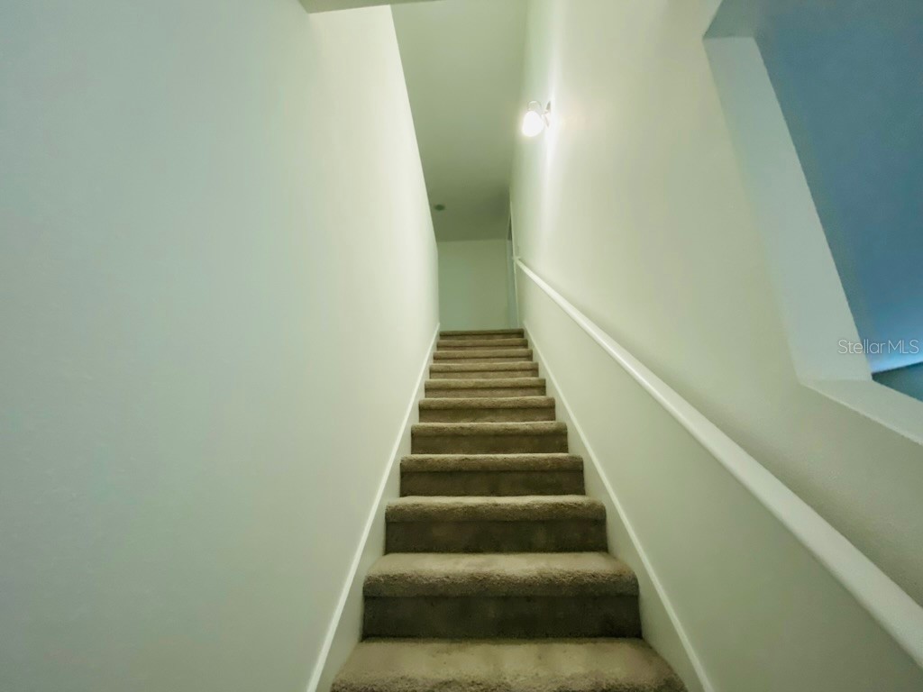 35409 White Water Lily Way Zephyrhills FL 33541 TB8468299 image23