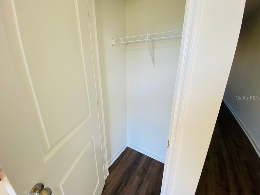 35409 White Water Lily Way Zephyrhills FL 33541 TB8468299 image29