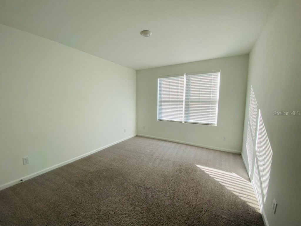 35409 White Water Lily Way Zephyrhills FL 33541 TB8468299 image7
