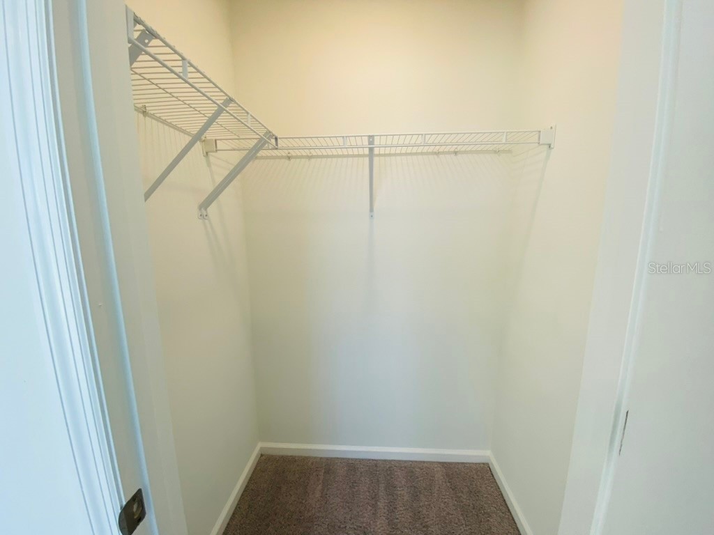 35409 White Water Lily Way Zephyrhills FL 33541 TB8468299 image8