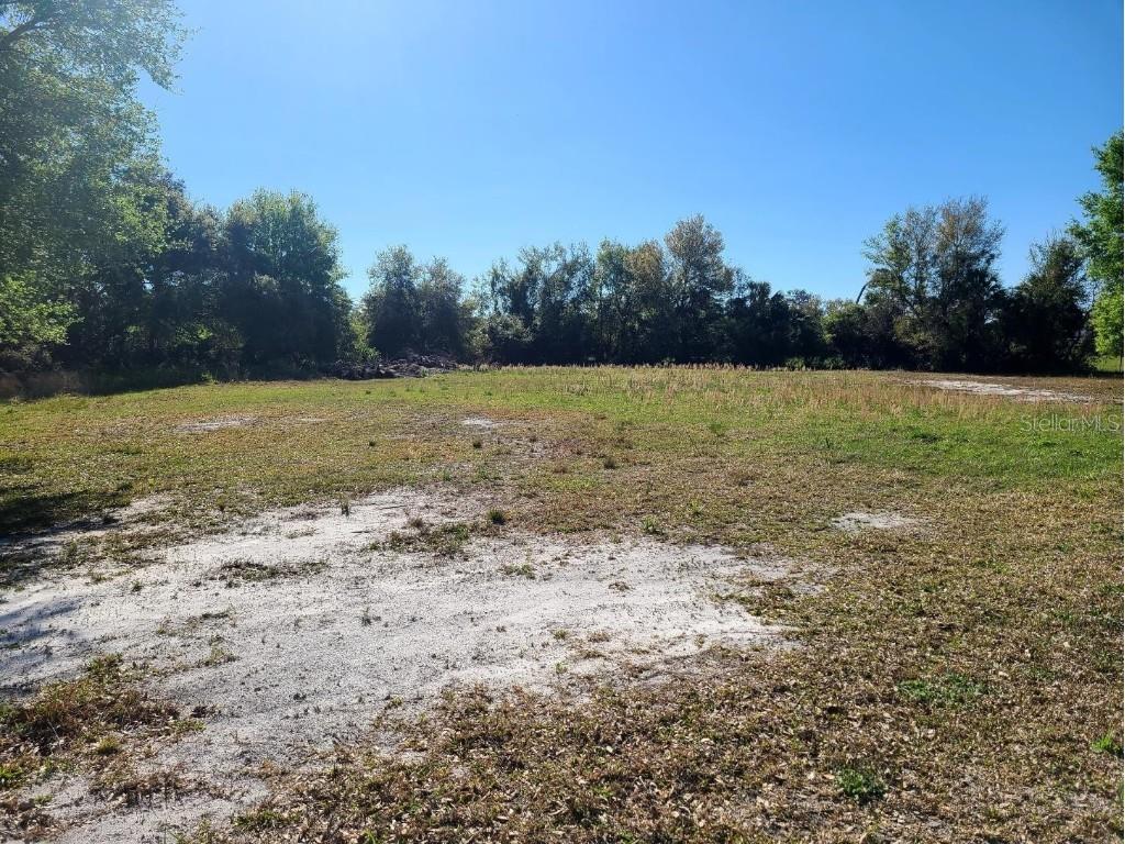 3541 N Boulevard Tampa FL 33603 TB8361739 image4