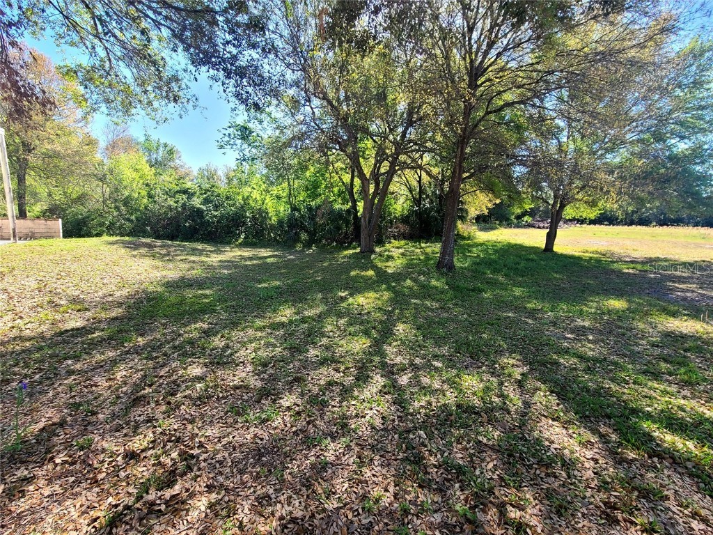 3541 N Boulevard Tampa FL 33603 TB8361739 image5