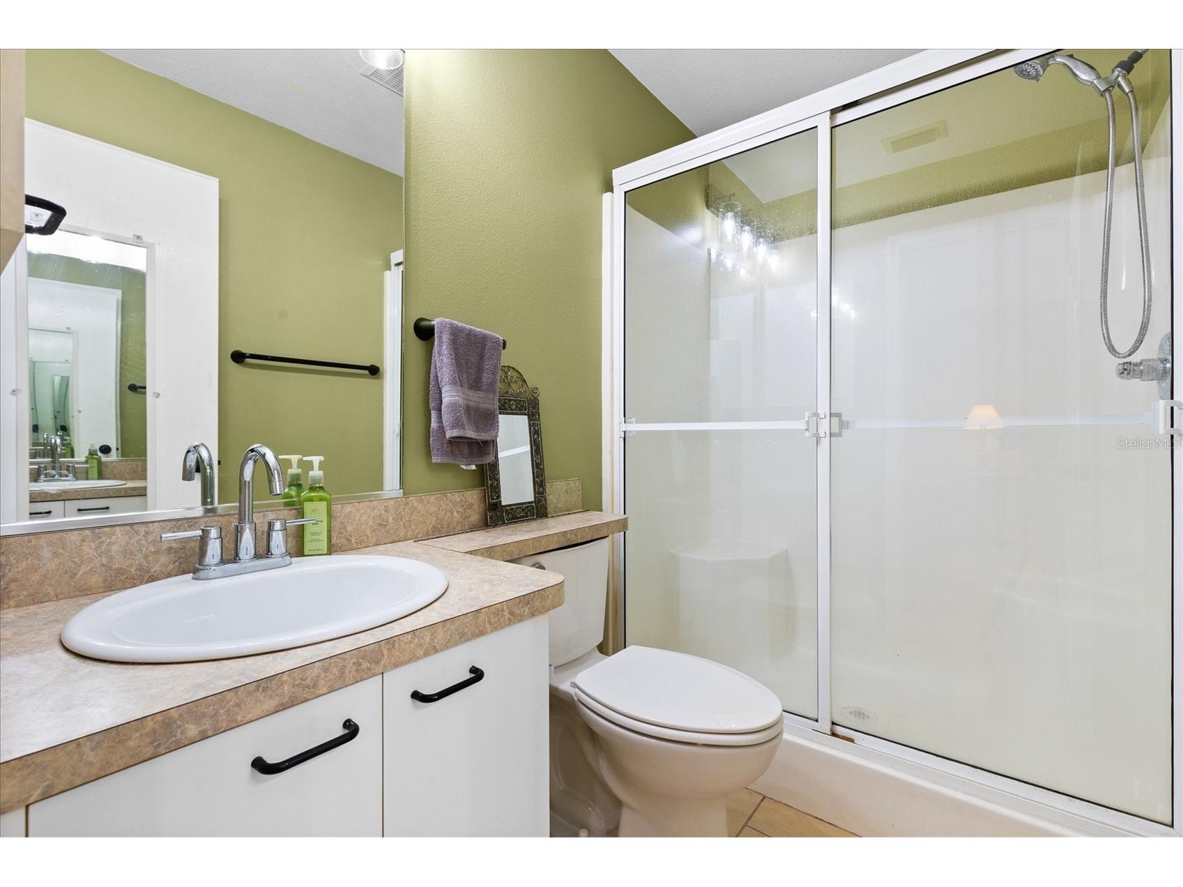 3541 Roanoke Street The Villages FL 32162 G5112220 image22