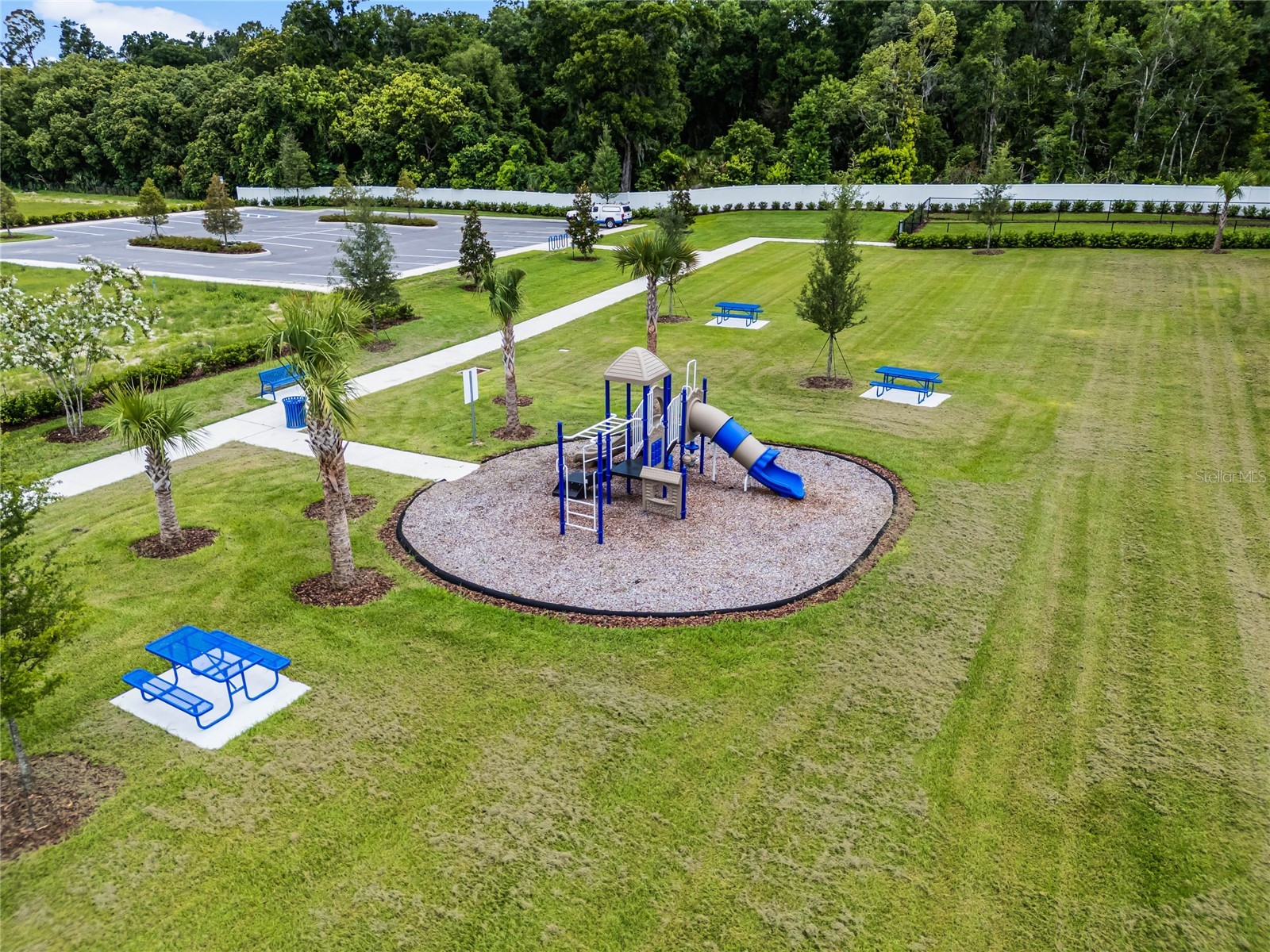 3541 Wye Oak Drive Apopka FL 32703 O6397356 image23