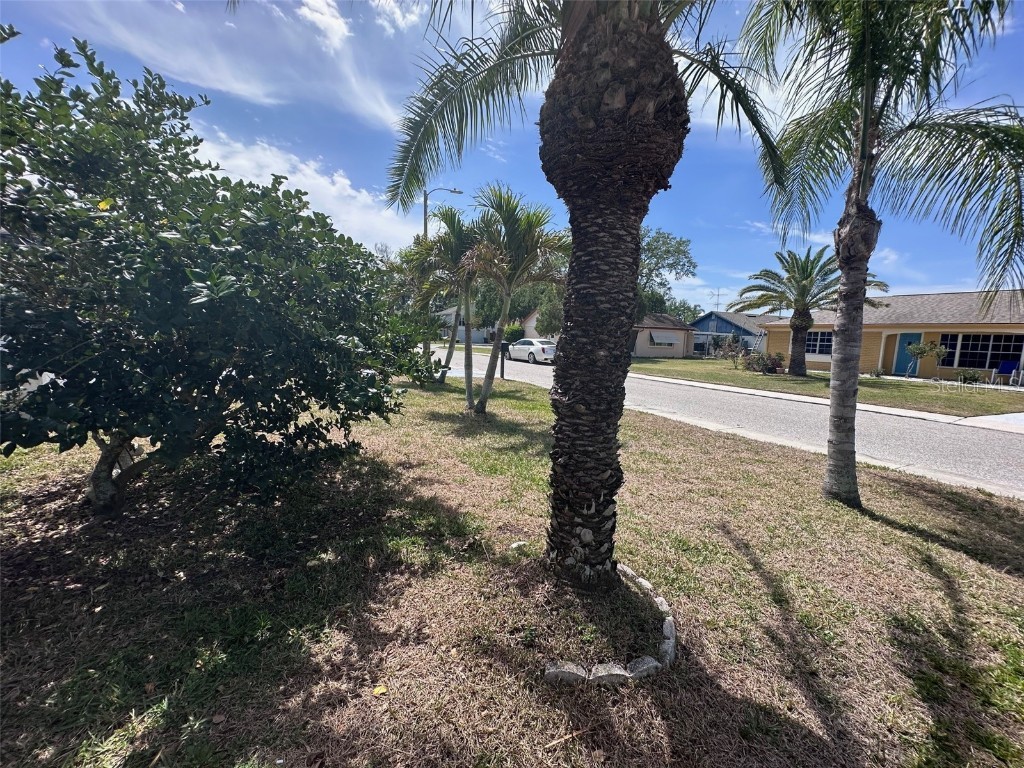 3542 Delta Place Holiday FL 34691 TB8369053 image11