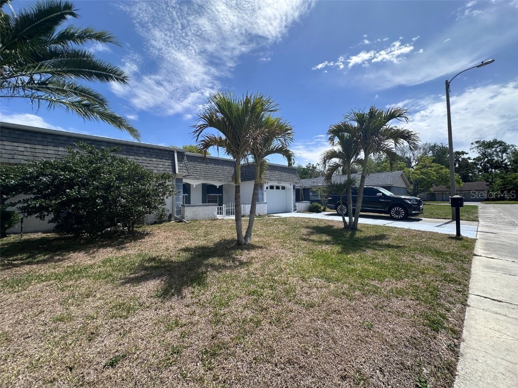 3542 Delta Place Holiday FL 34691 TB8369053 image8