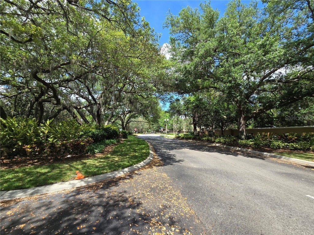 3542 Shallot Drive #101 Orlando FL 32835 O6348686 image61