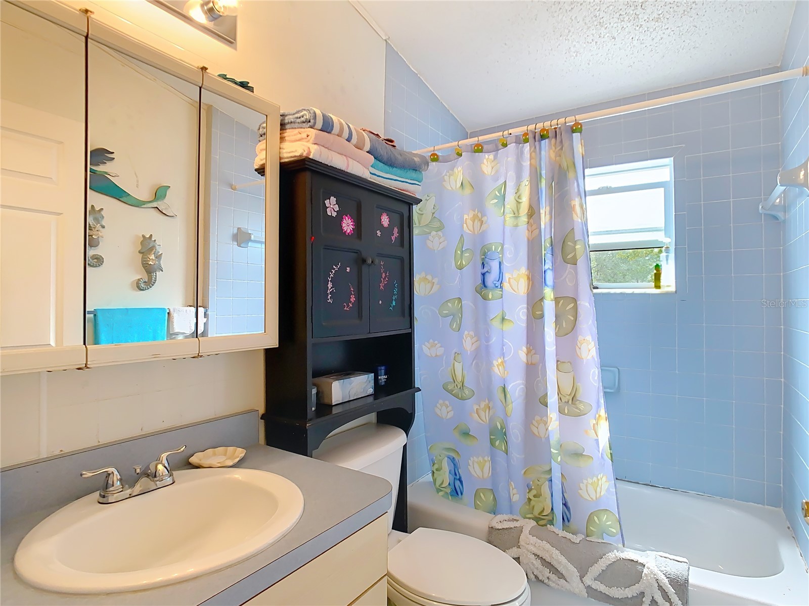 35420 Carval Drive Zephyrhills FL 33541 W7879356 image15