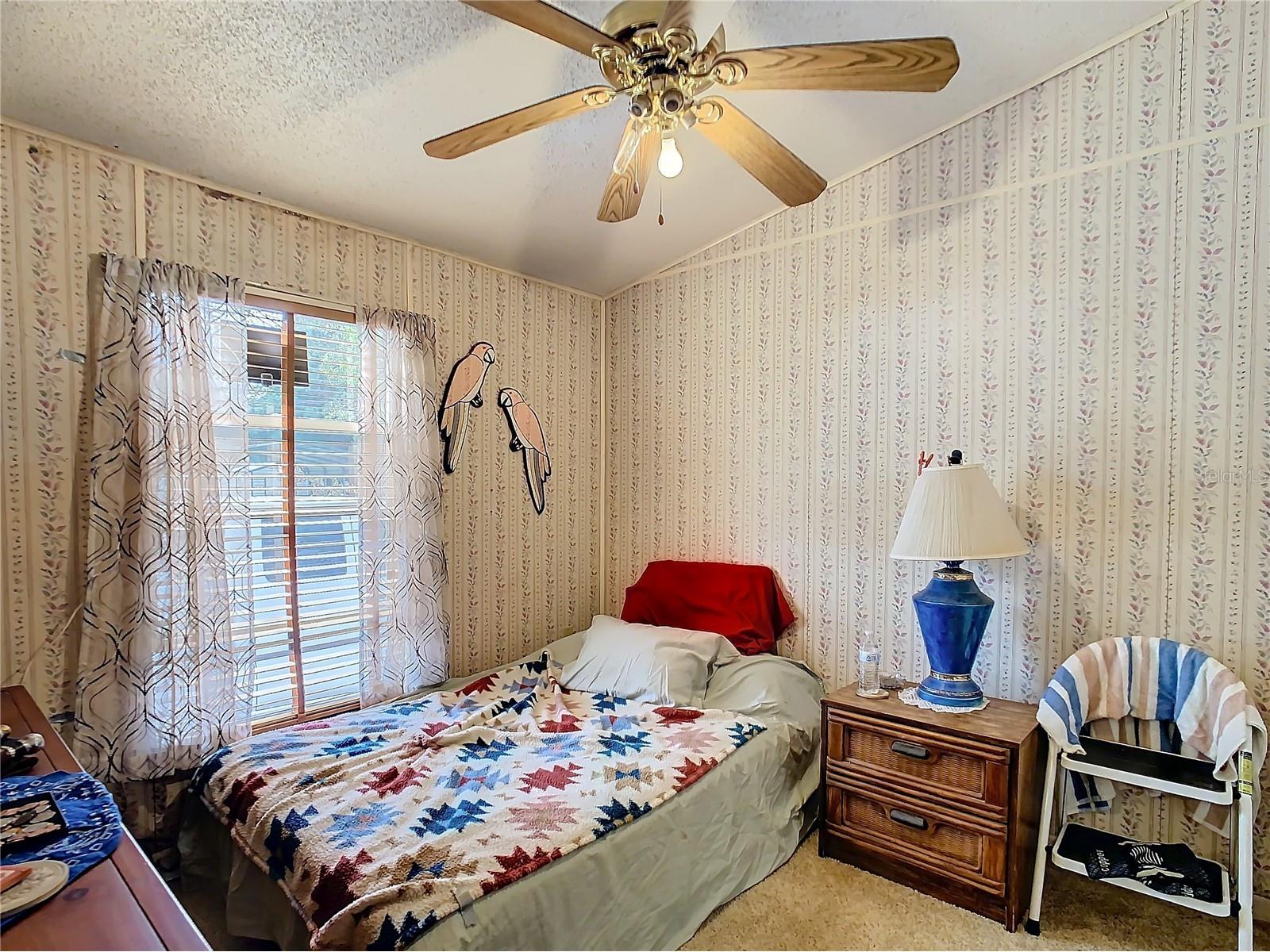 35420 Carval Drive Zephyrhills FL 33541 W7879356 image18