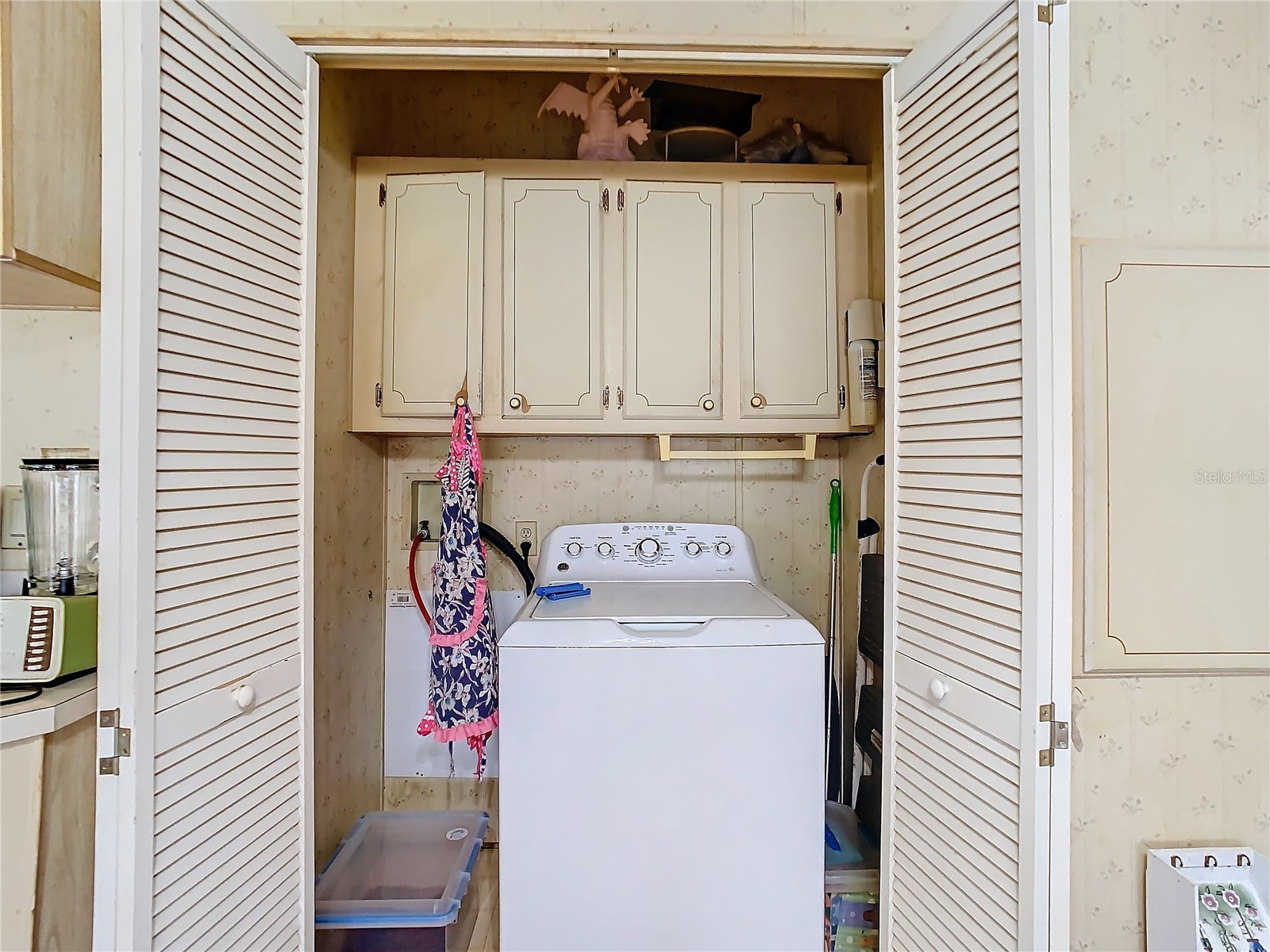 35420 Carval Drive Zephyrhills FL 33541 W7879356 image32