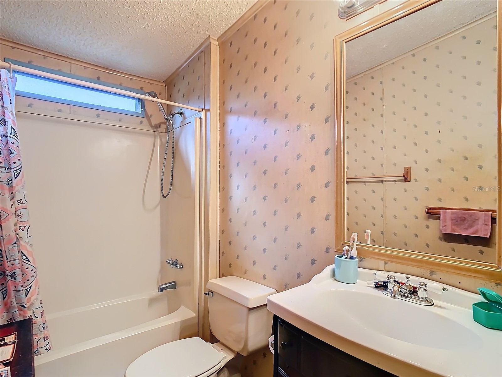 35420 Carval Drive Zephyrhills FL 33541 W7879356 image33