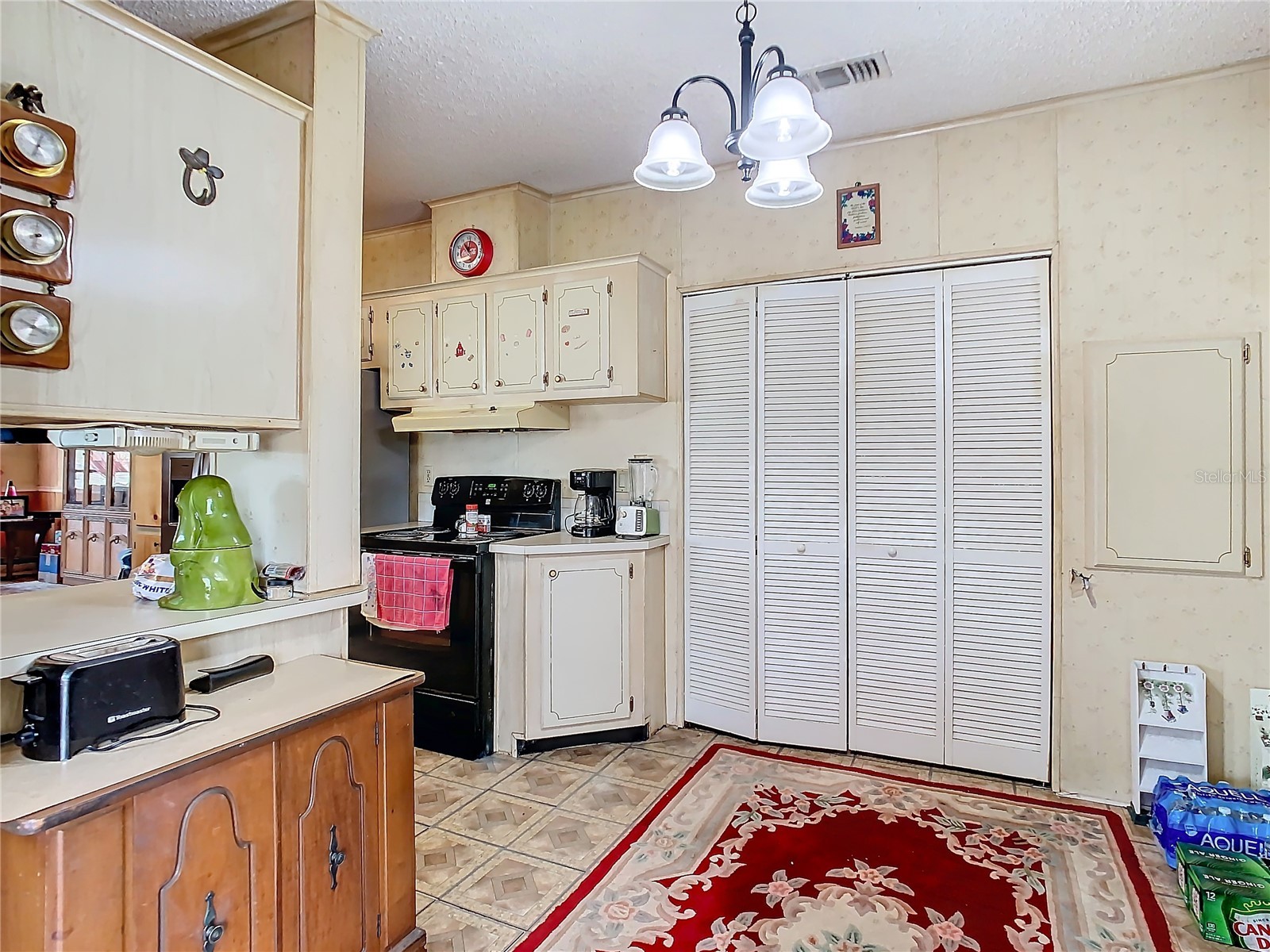 35420 Carval Drive Zephyrhills FL 33541 W7879356 image38