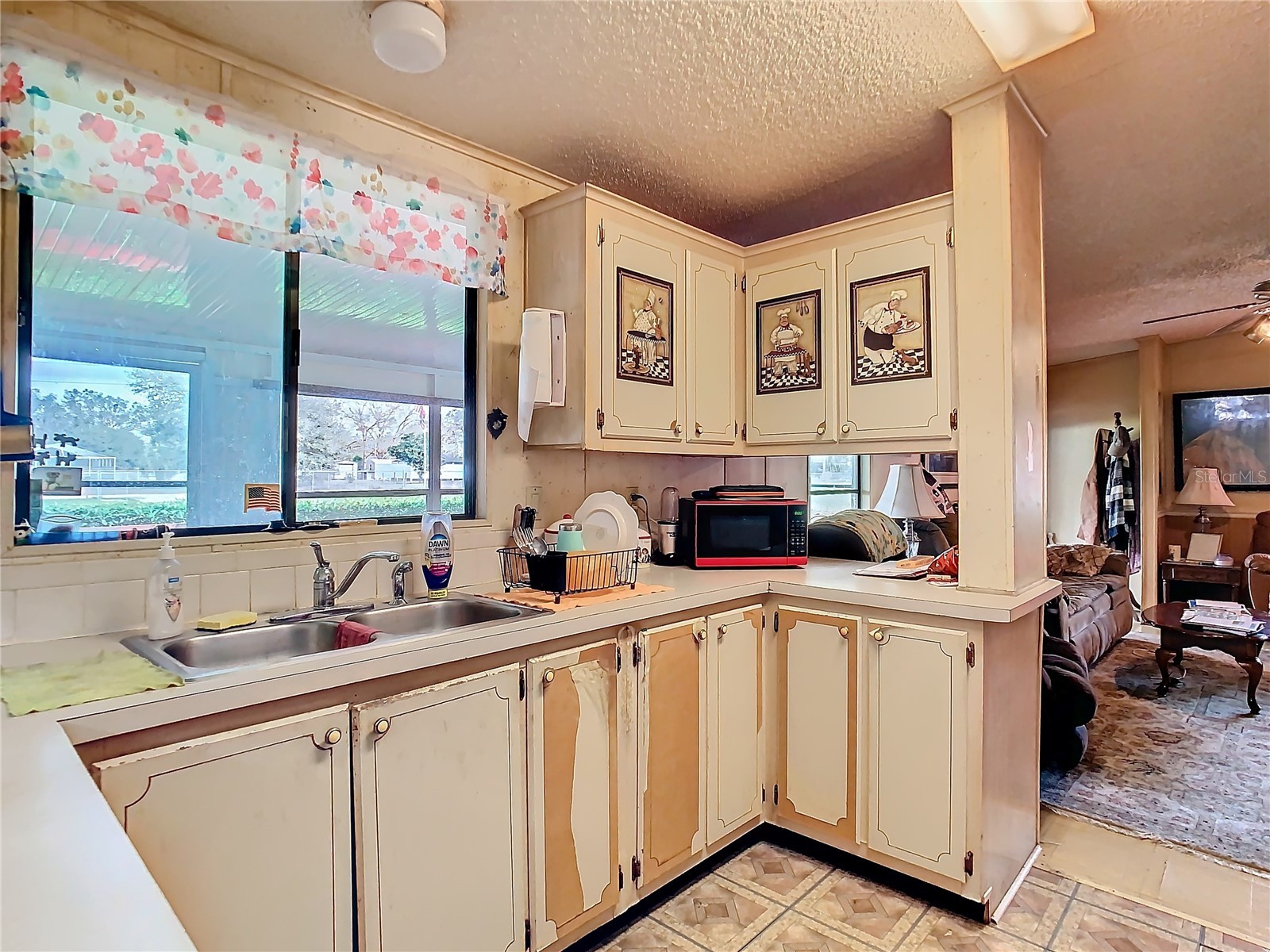 35420 Carval Drive Zephyrhills FL 33541 W7879356 image43