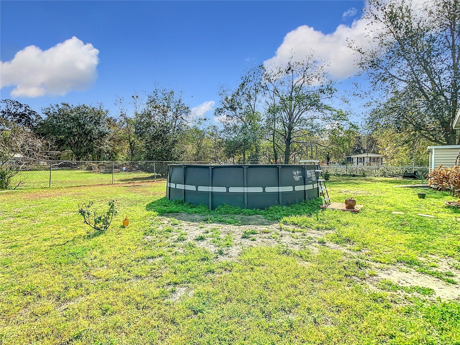 35420 Carval Drive Zephyrhills FL 33541 W7879356 image60