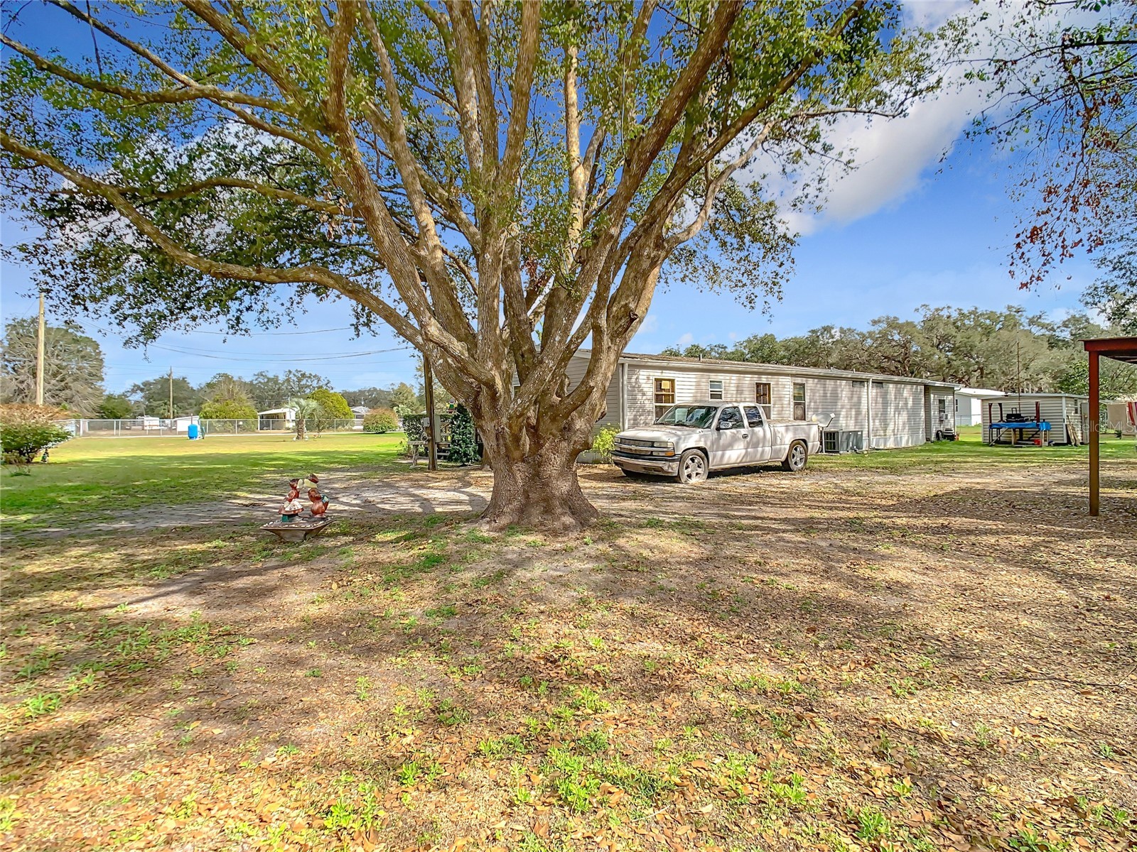 35420 Carval Drive Zephyrhills FL 33541 W7879356 image62