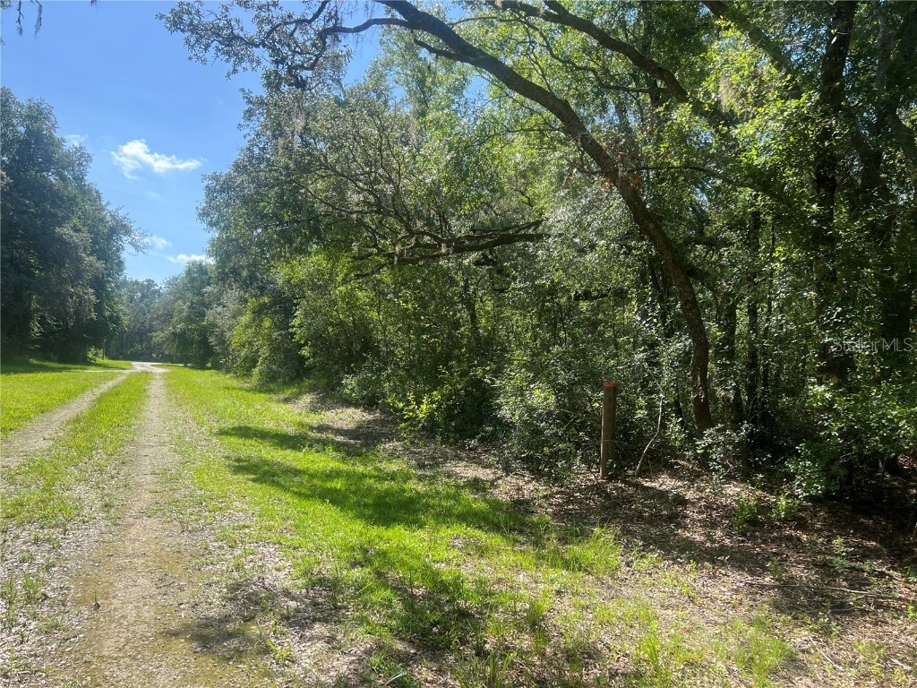 35422 Kola Drive Webster FL 33597 G5071004 image1