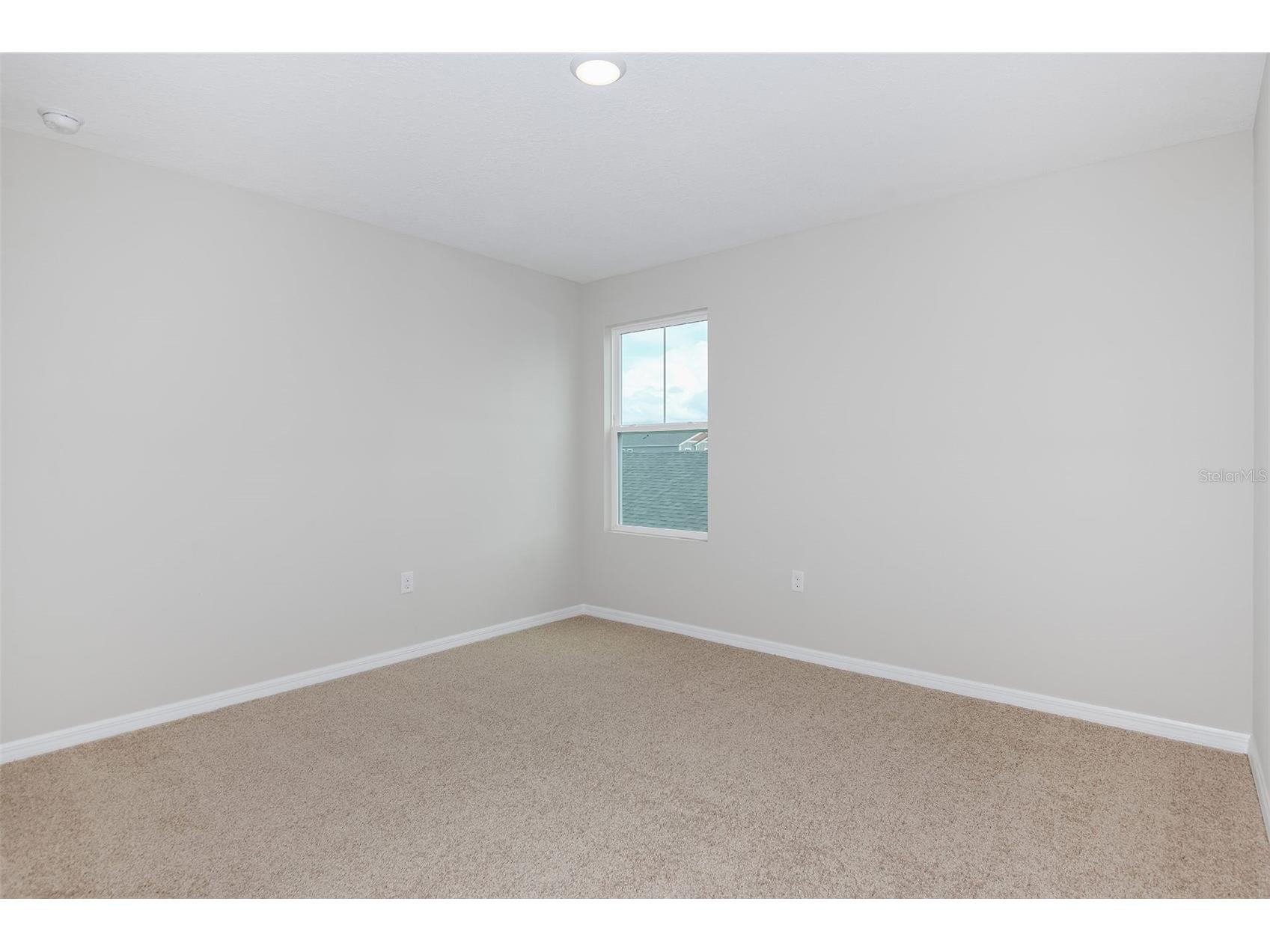 35433 Arbor Retreat Drive Dade City FL 33525 TB8502659 image16