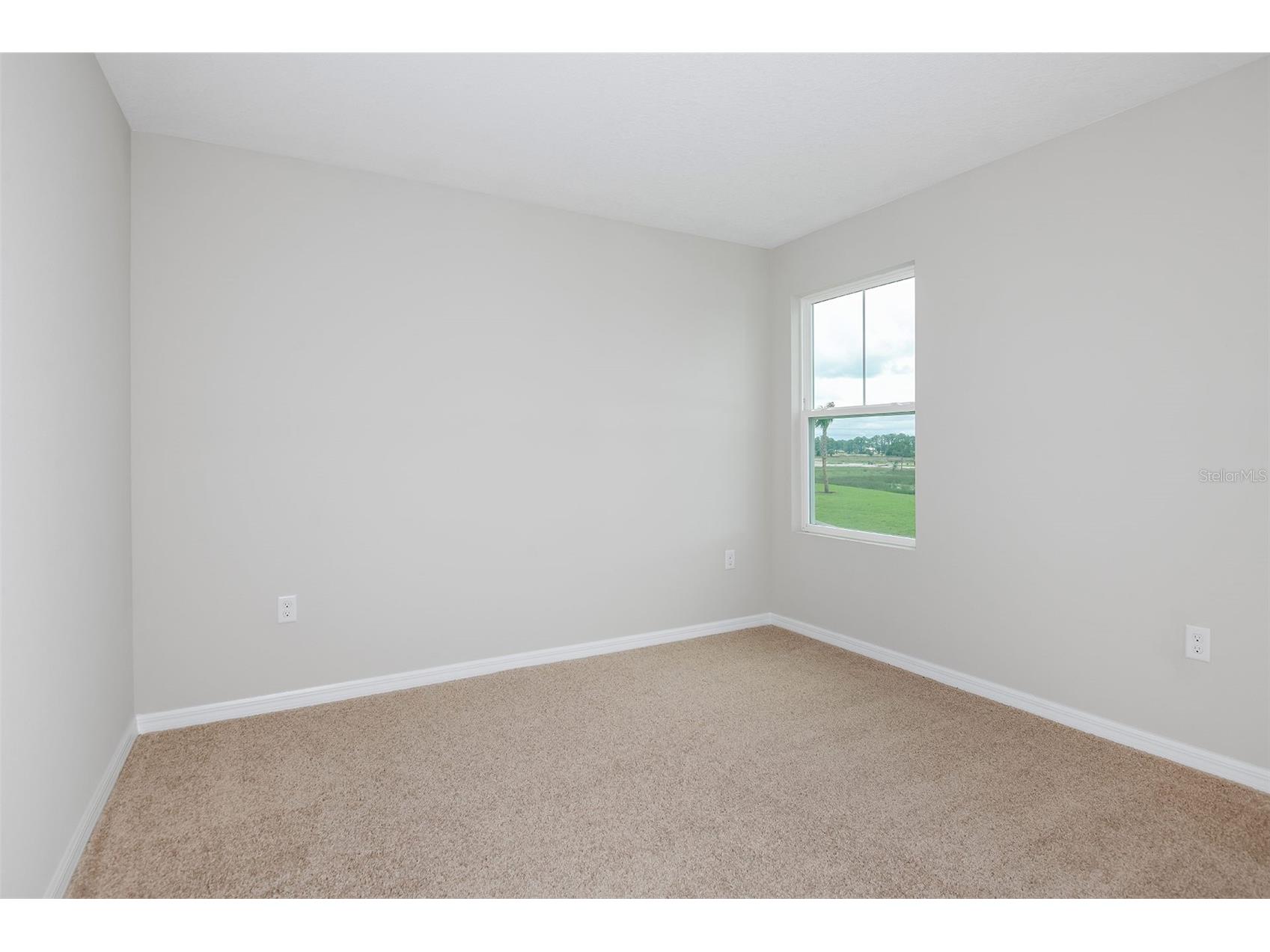 35433 Arbor Retreat Drive Dade City FL 33525 TB8502659 image18